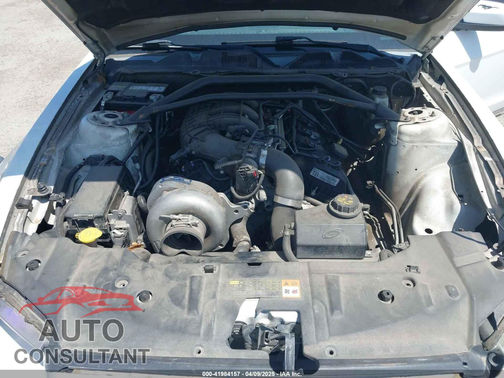 FORD MUSTANG 2014 - 1ZVBP8AM8E5212351