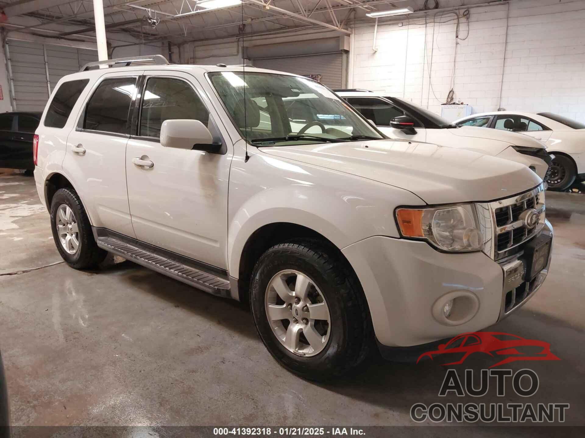 FORD ESCAPE 2010 - 1FMCU0EG2AKB61474