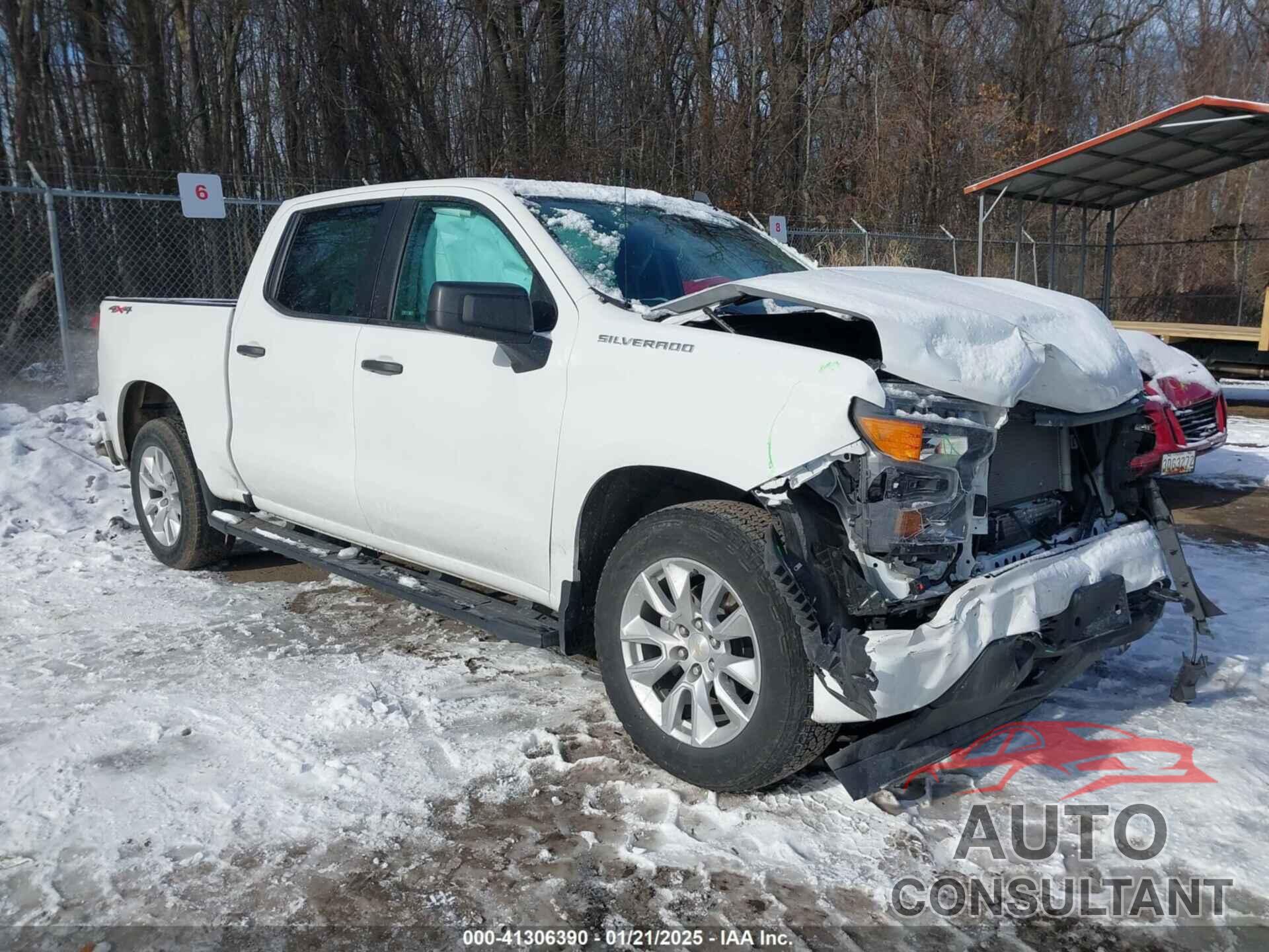 CHEVROLET SILVERADO 1500 2023 - 1GCPDBEK3PZ119711