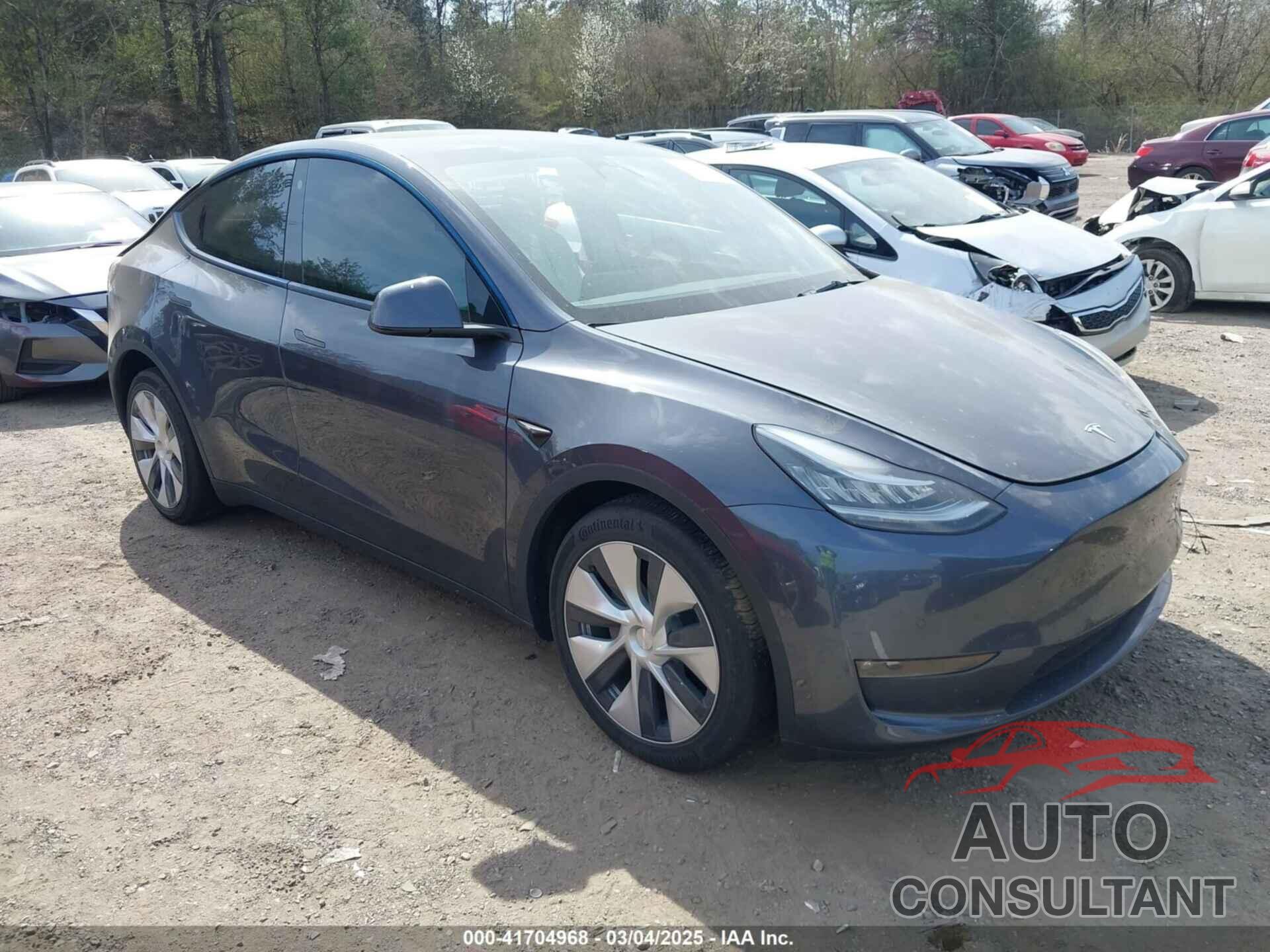 TESLA MODEL Y 2022 - 7SAYGDEE2NF447998