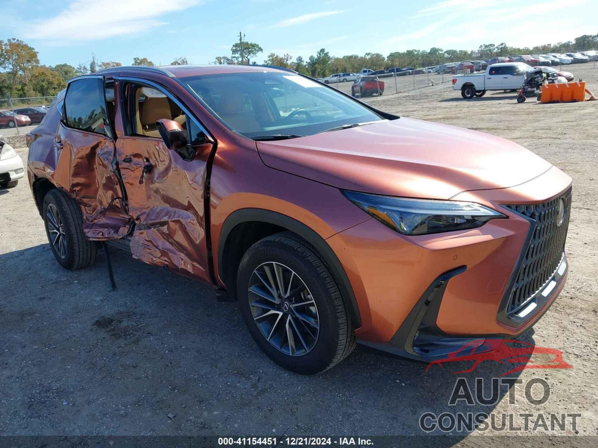 LEXUS NX 250 2025 - 2T2GDCAZ5SC019472