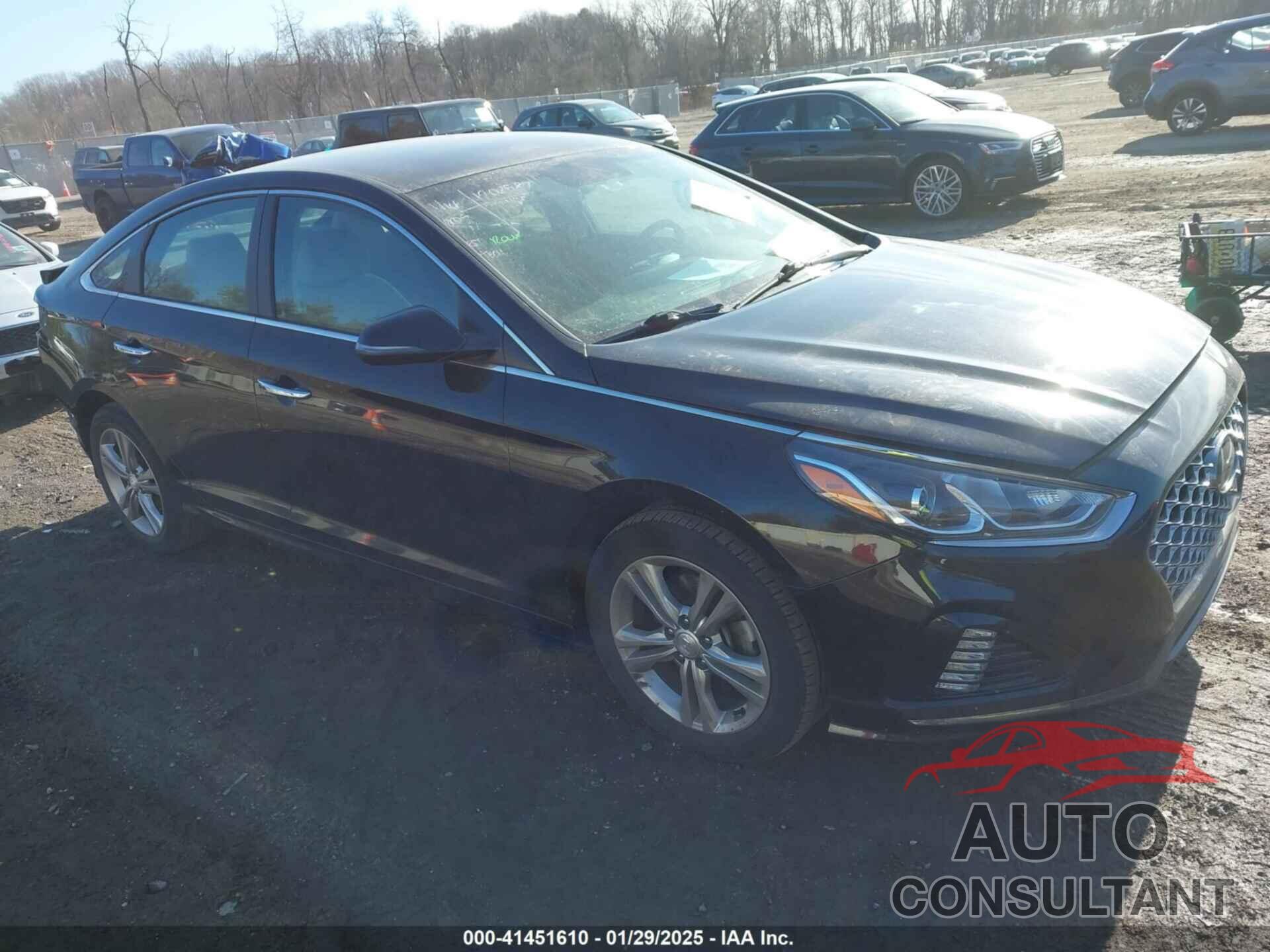 HYUNDAI SONATA 2019 - 5NPE34AF4KH815881