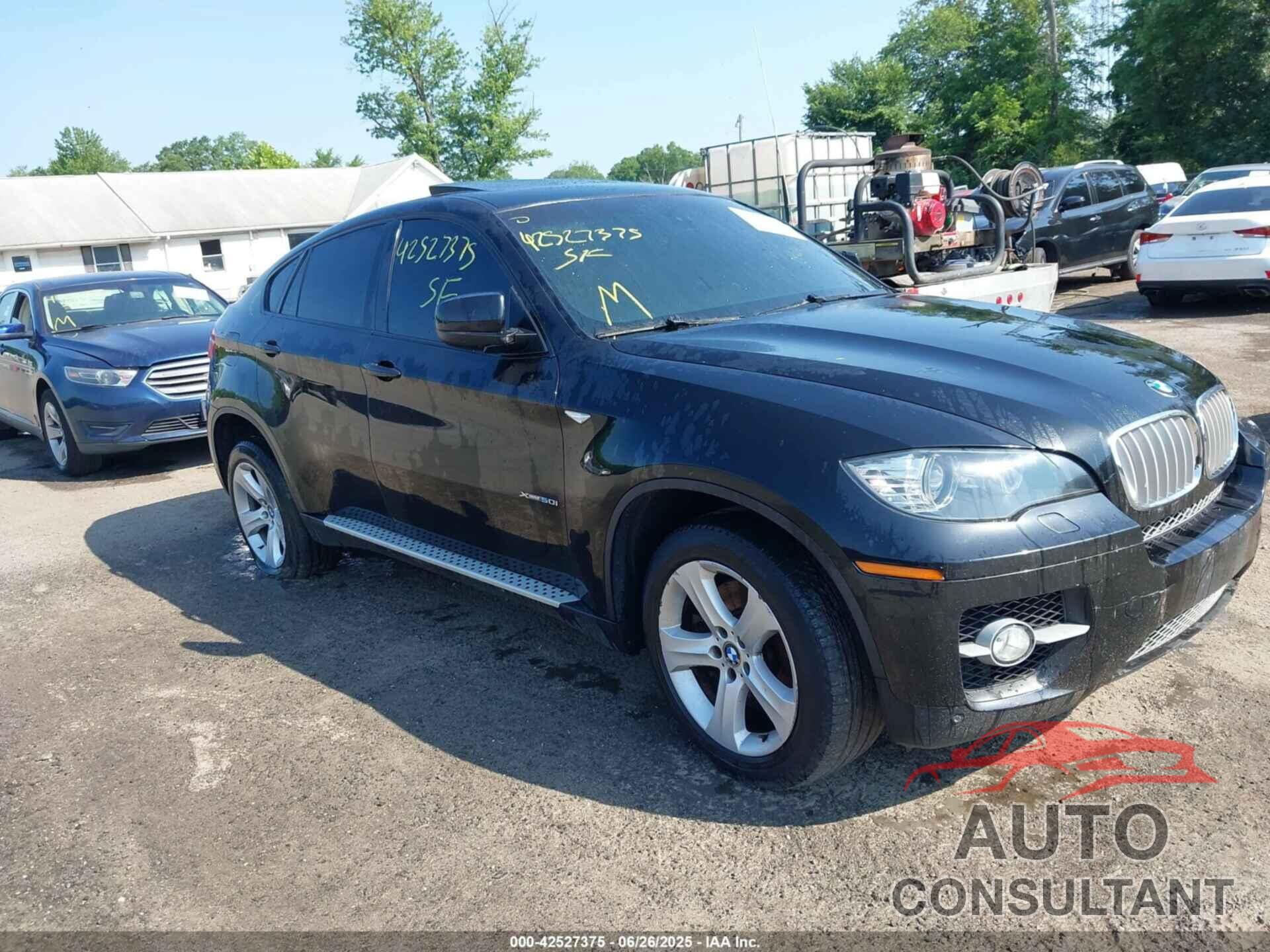 BMW X6 2011 - 5UXFG8C56BLZ96741