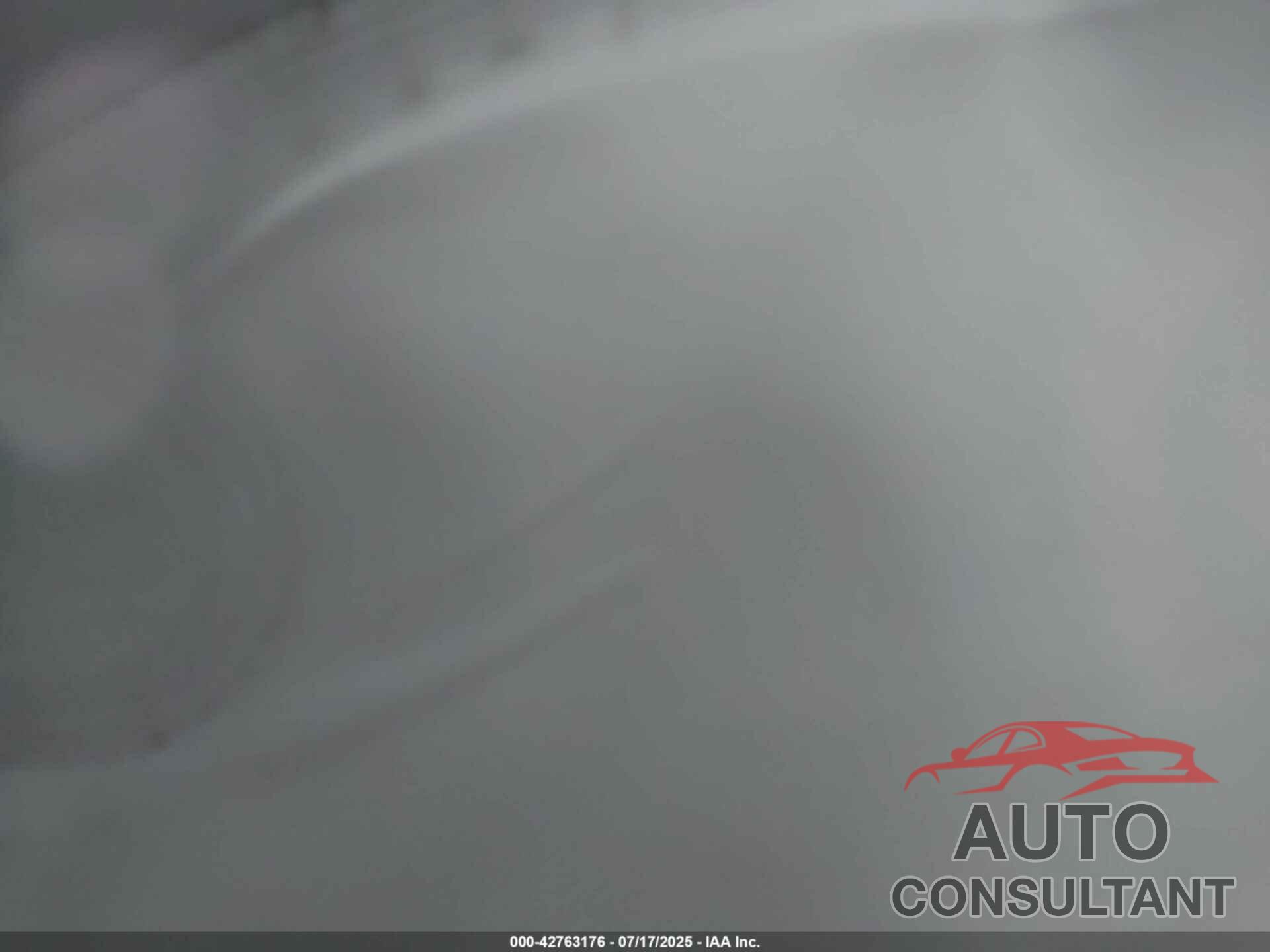 TESLA MODEL Y 2024 - 7SAYGDEE8RA295003