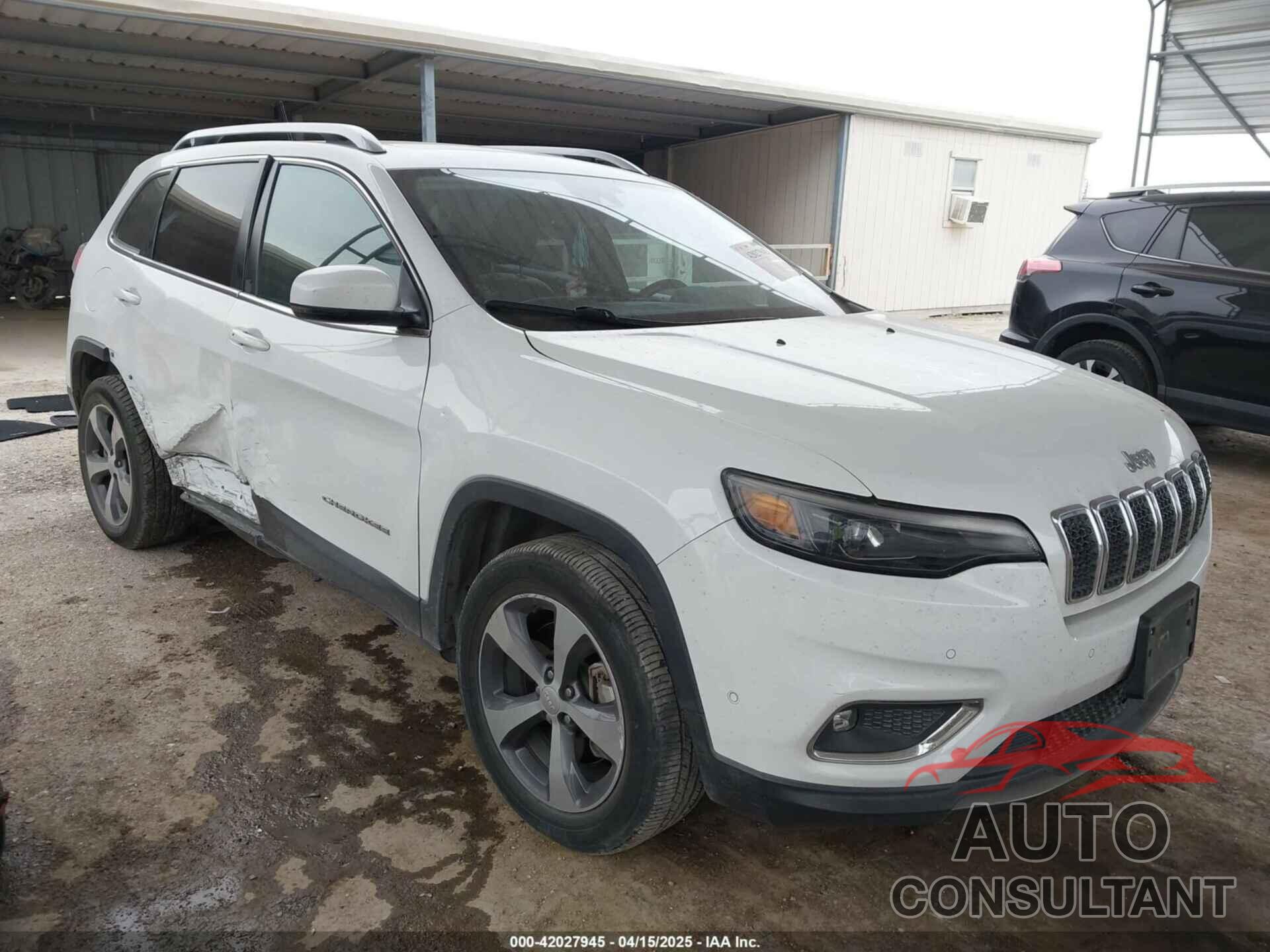 JEEP CHEROKEE 2019 - 1C4PJMDX1KD197833