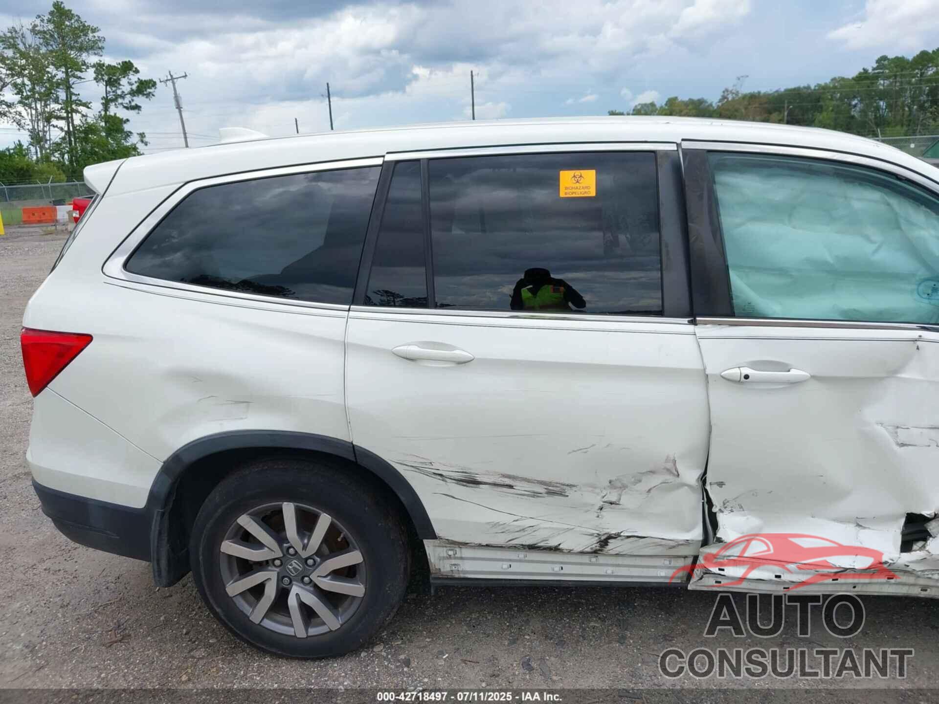 HONDA PILOT 2019 - 5FNYF6H49KB067552