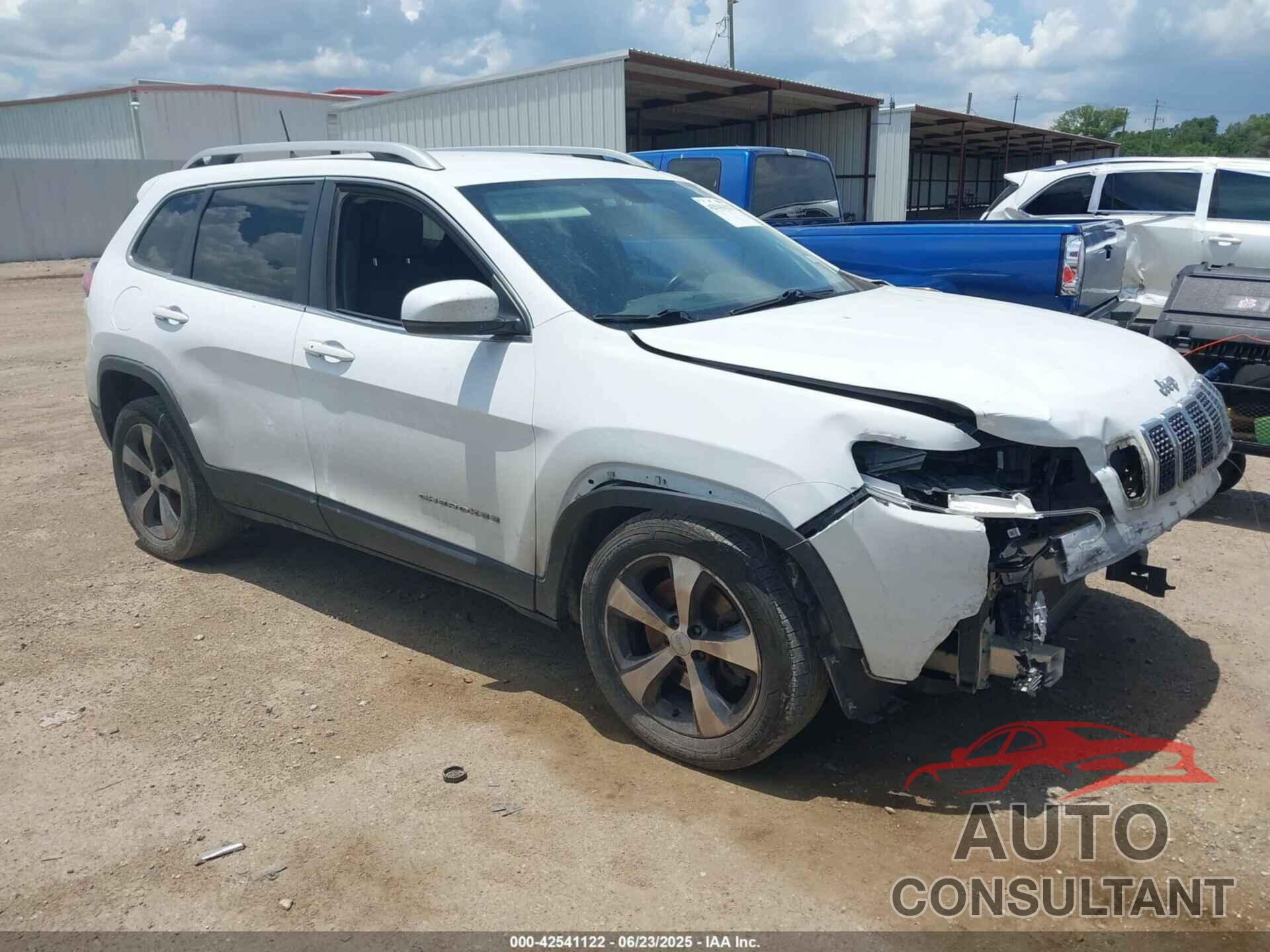 JEEP CHEROKEE 2019 - 1C4PJLDB5KD300444