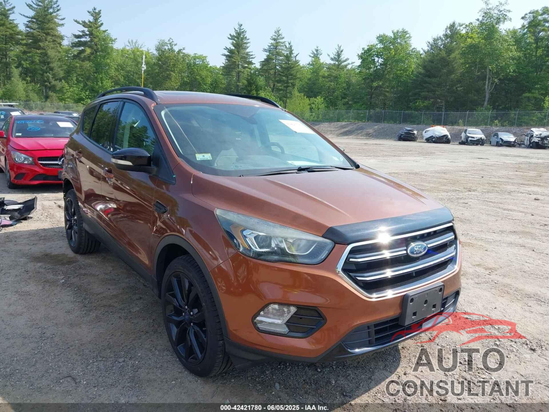 FORD ESCAPE 2017 - 1FMCU9J97HUB84632