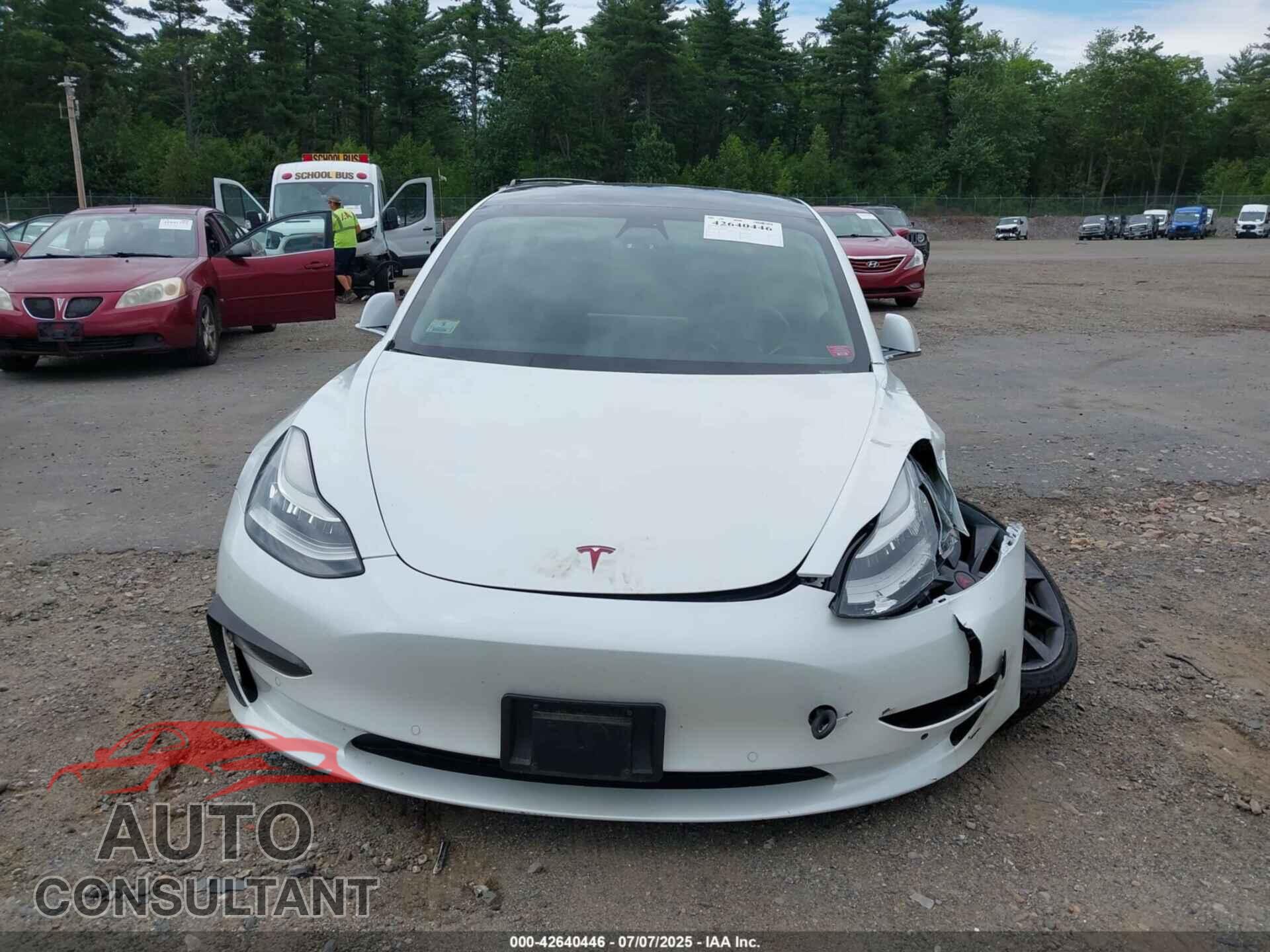 TESLA MODEL 3 2020 - 5YJ3E1EC9LF641371