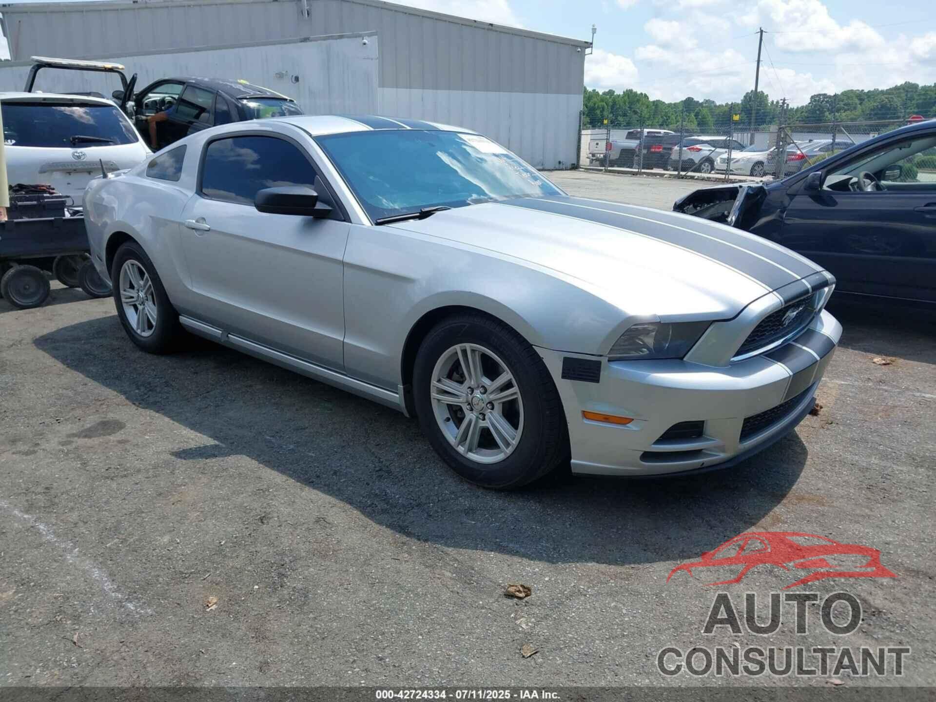 FORD MUSTANG 2013 - 1ZVBP8AMXD5281458