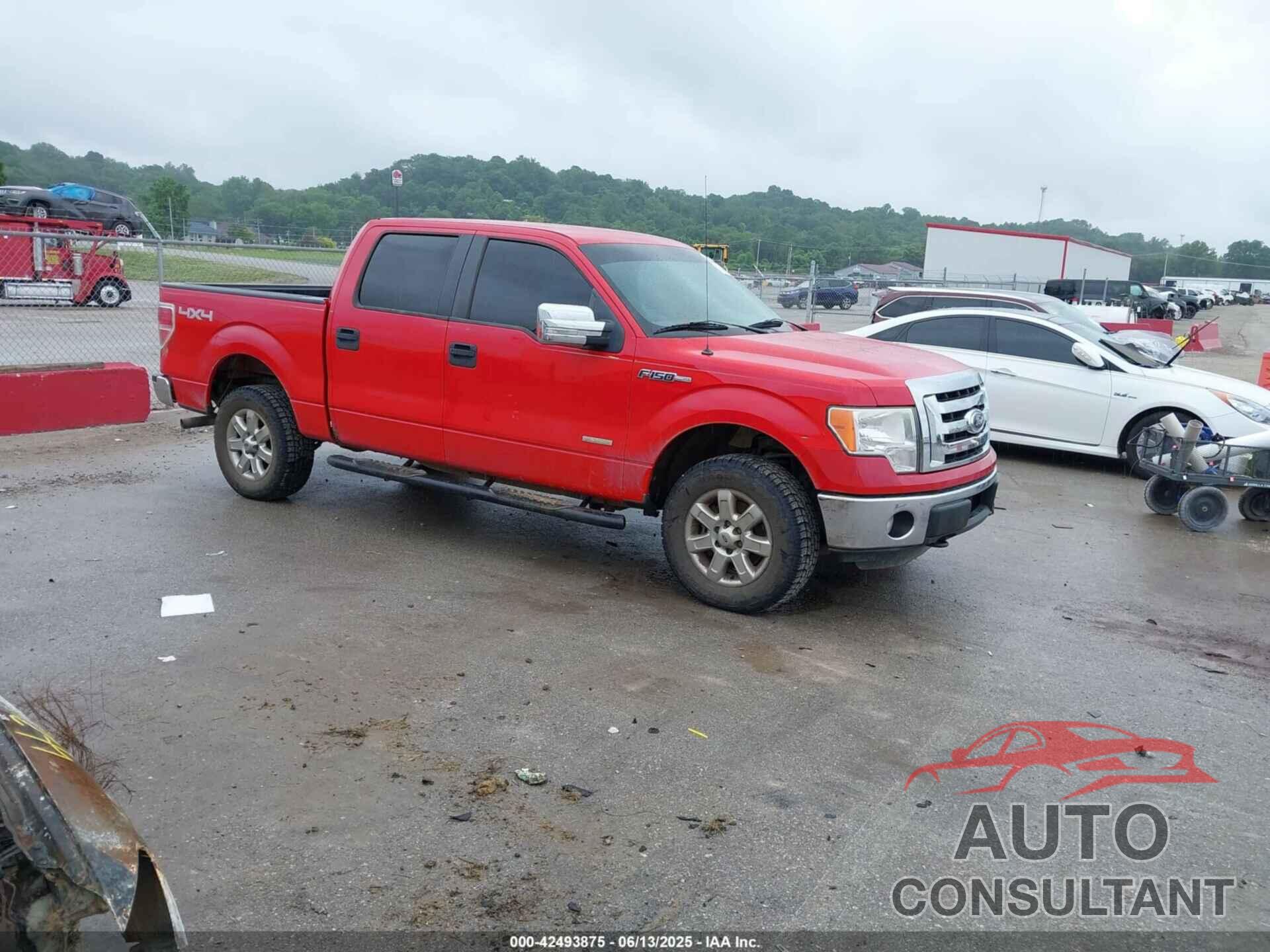FORD F-150 2012 - 1FTFW1ET8CKD11394