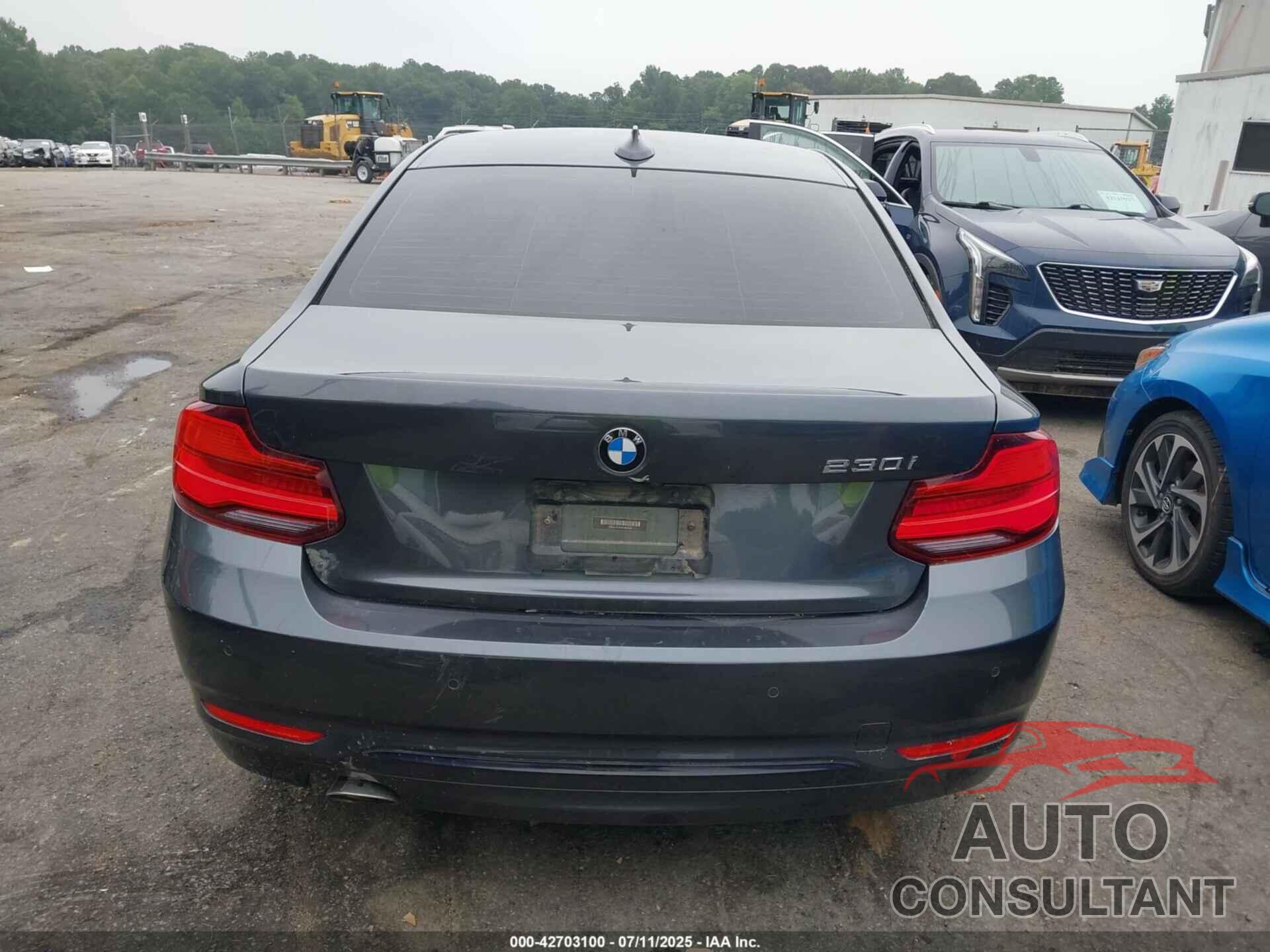 BMW 230I 2019 - WBA2J1C51K7D52548