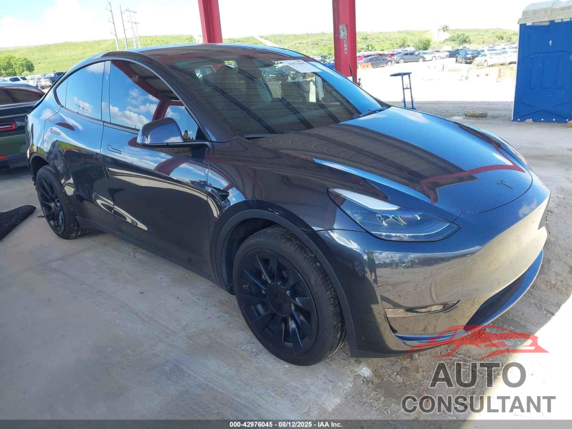 TESLA MODEL Y 2024 - 7SAYGDED5RF035281