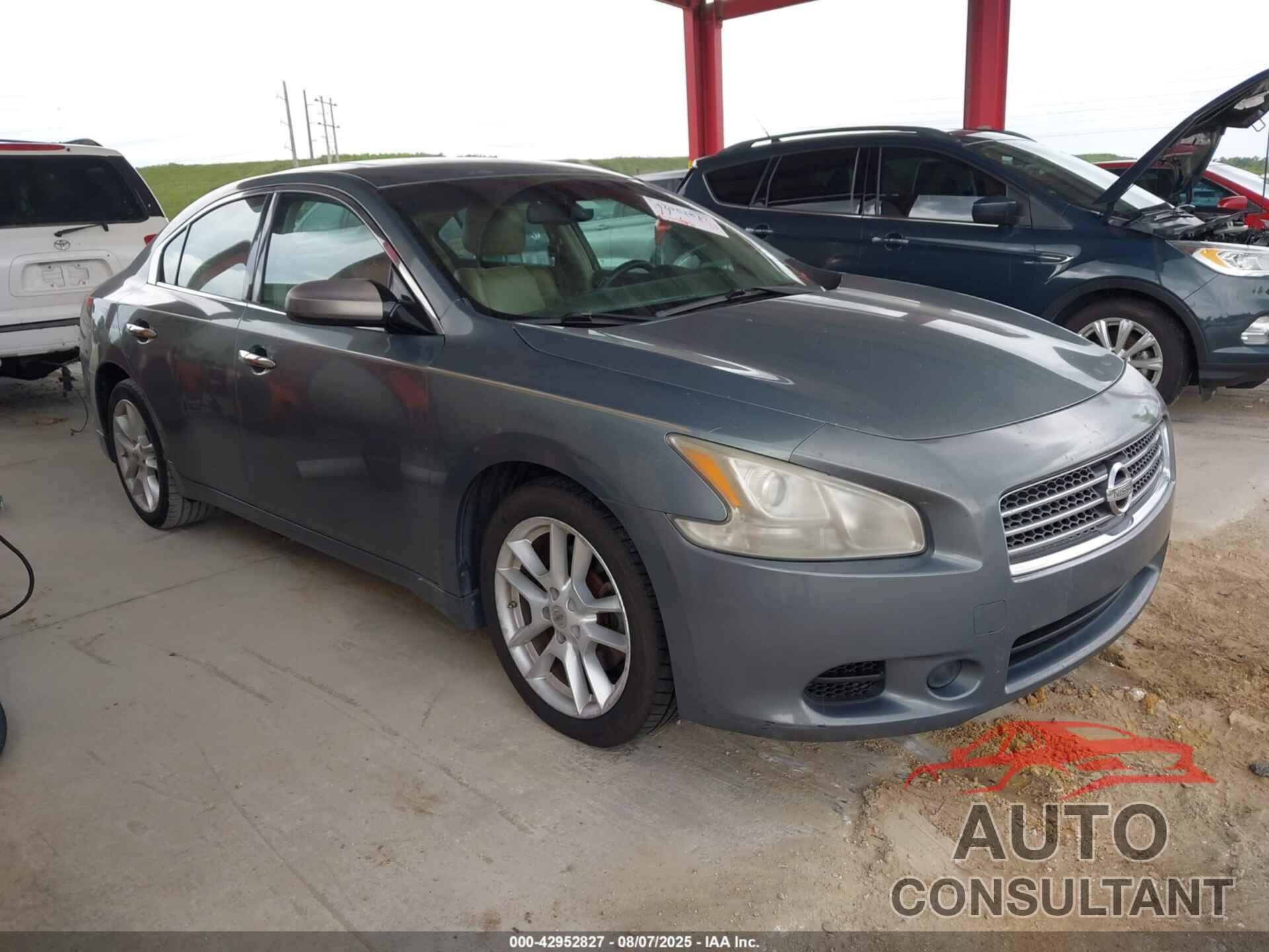 NISSAN MAXIMA 2010 - 1N4AA5AP6AC828845