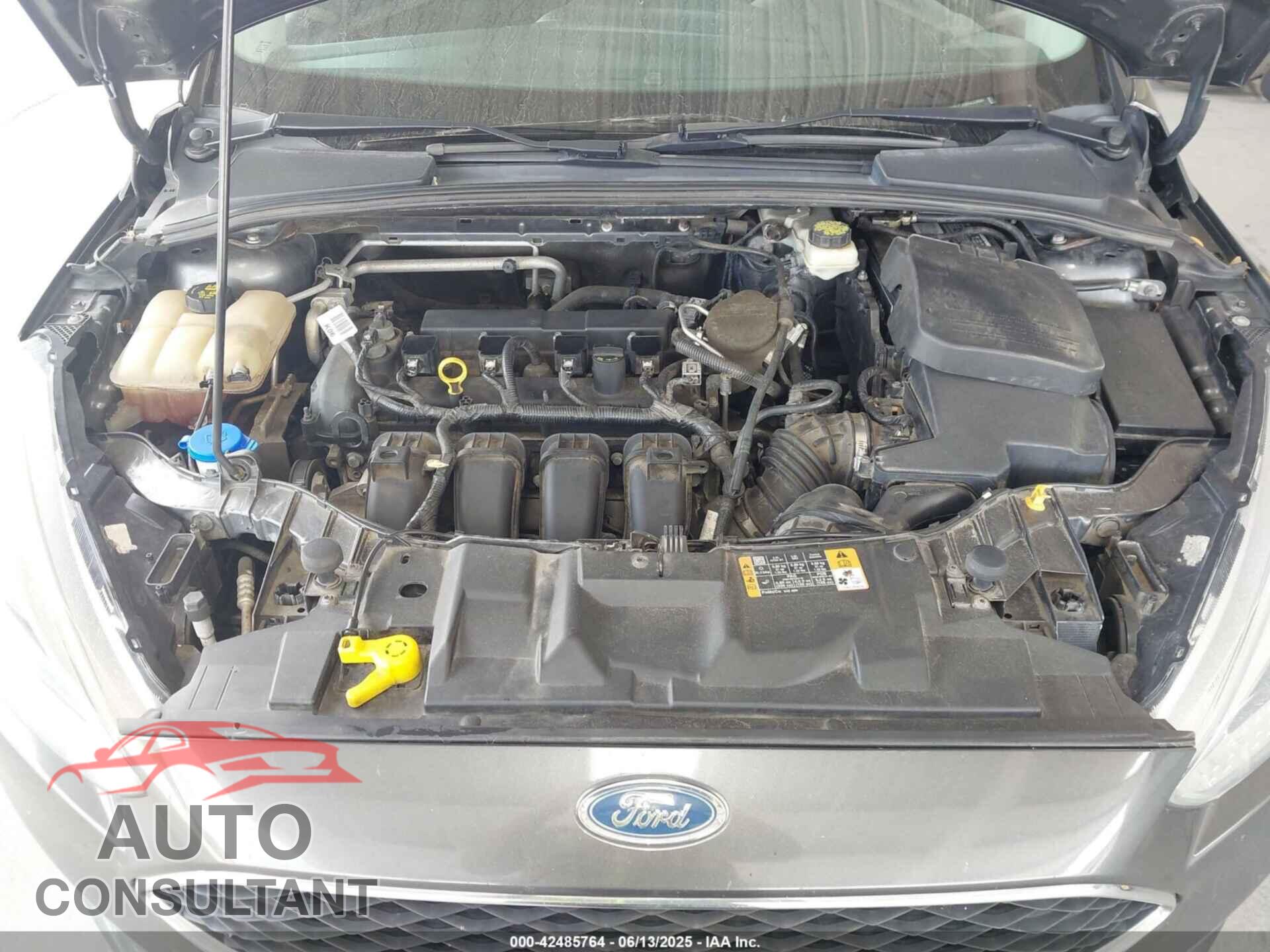 FORD FOCUS 2016 - 1FADP3F25GL234897
