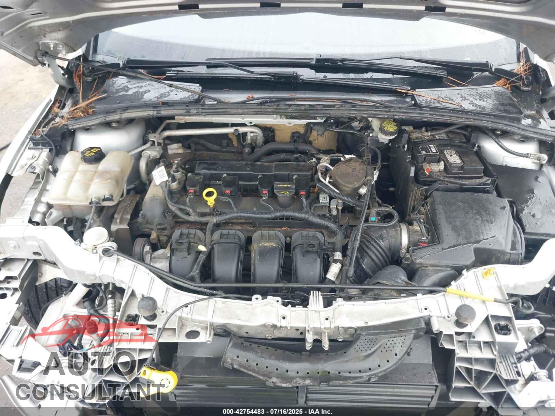 FORD FOCUS 2014 - 1FADP3F22EL322822