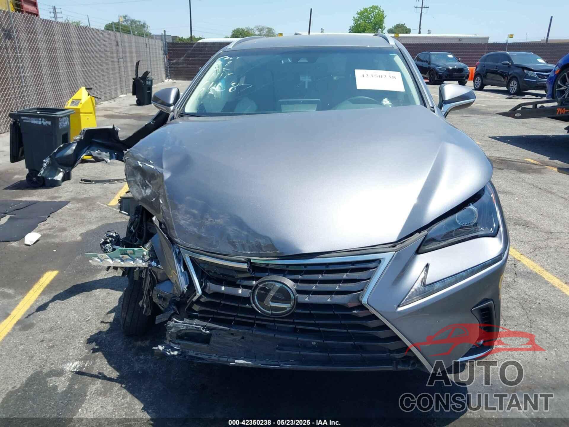 LEXUS NX 300 2019 - JTJYARBZ9K2149124