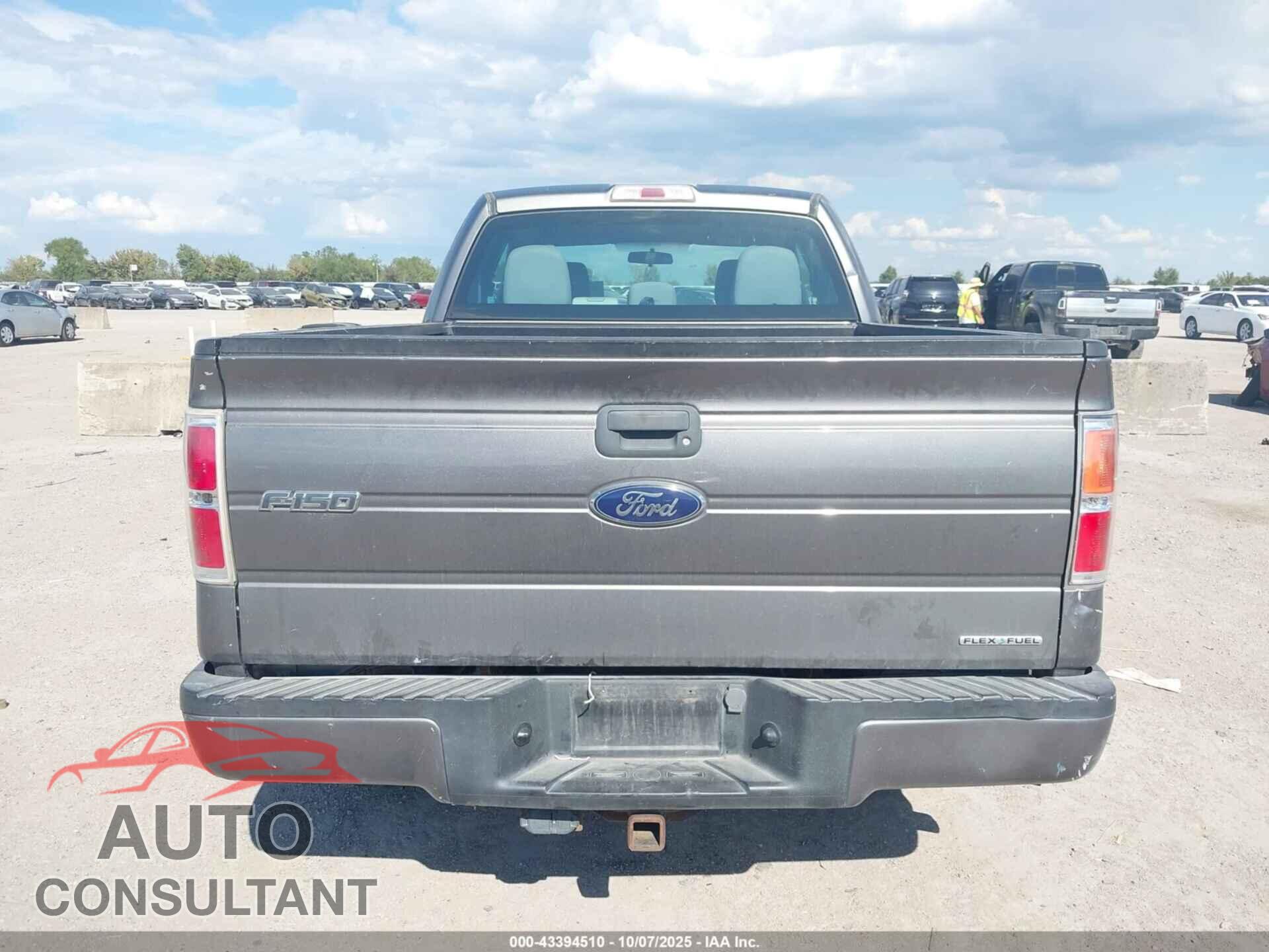 FORD F-150 2013 - 1FTFX1CF7DFD03162