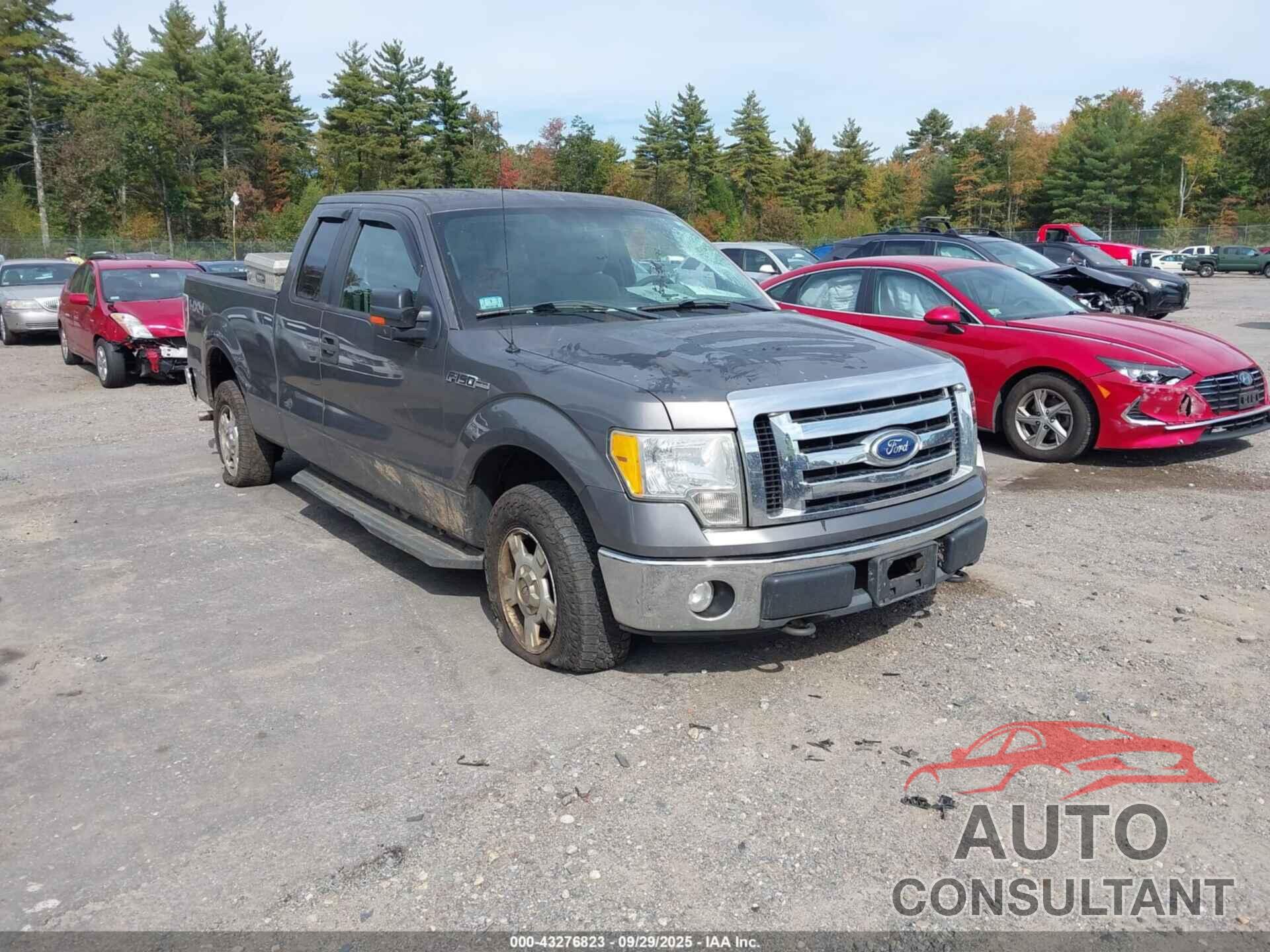 FORD F-150 2010 - 1FTEX1E84AFD21849