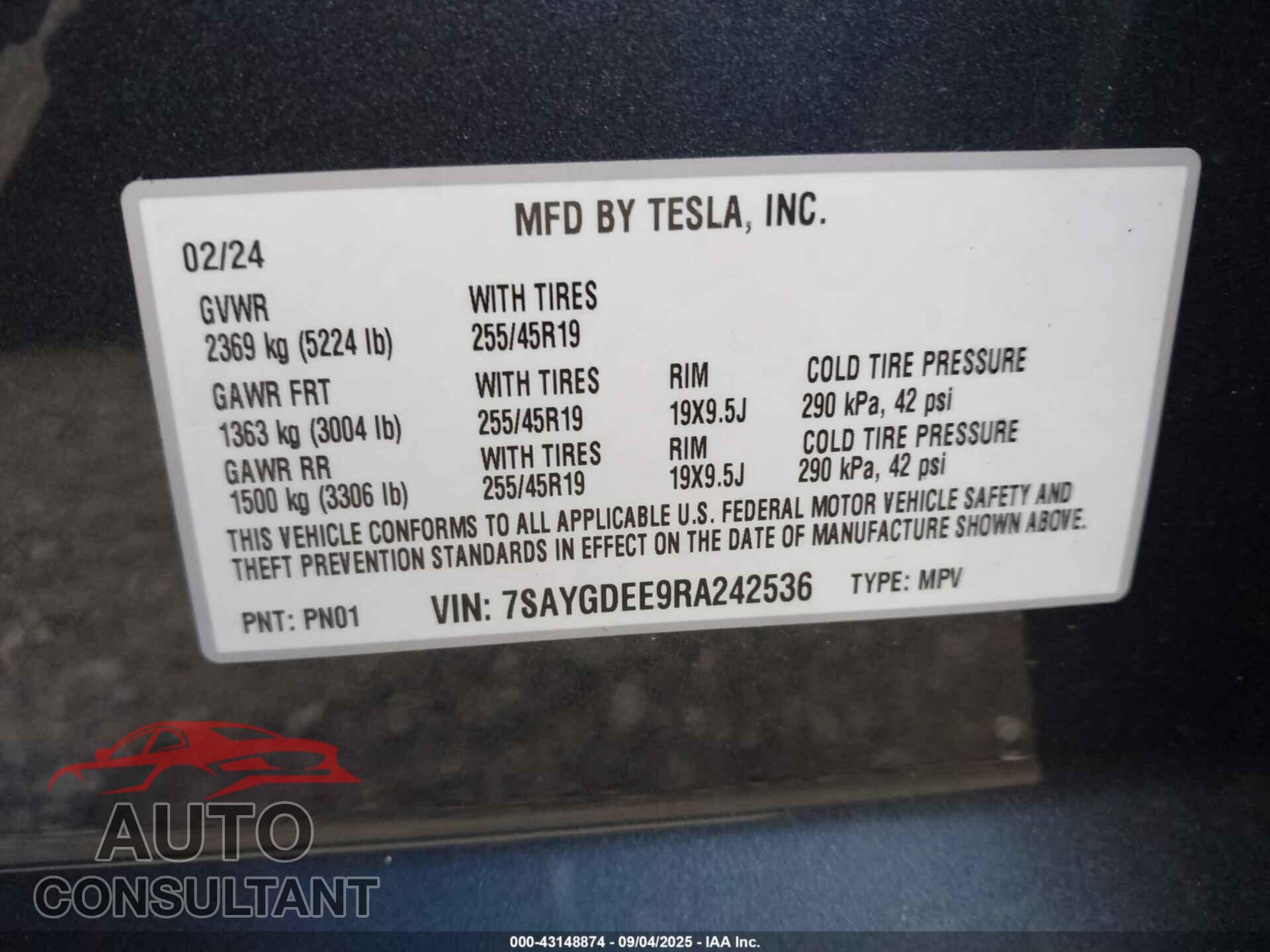 TESLA MODEL Y 2024 - 7SAYGDEE9RA242536