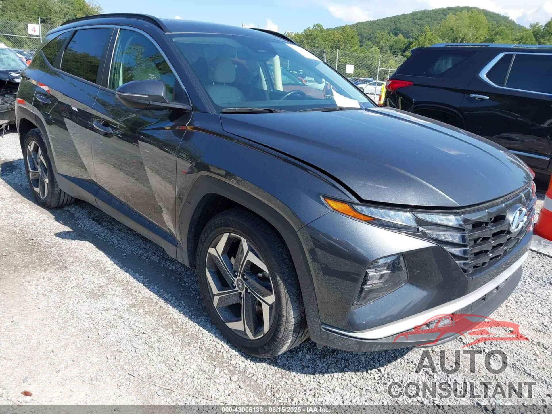HYUNDAI TUCSON 2024 - 5NMJF3DE3RH296381