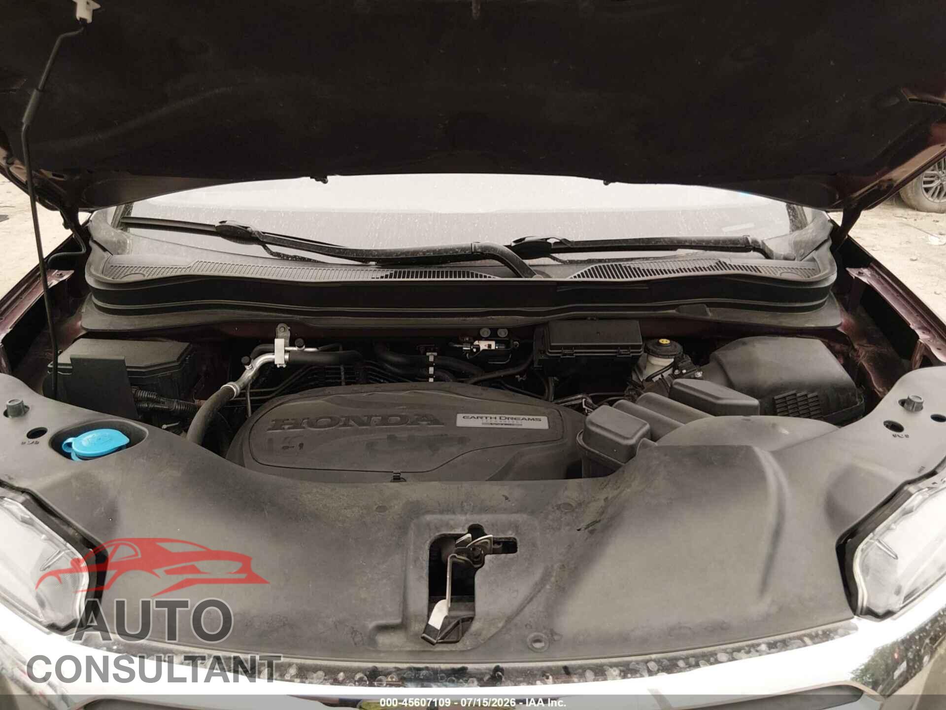HONDA RIDGELINE 2019 - 5FPYK3F61KB019727