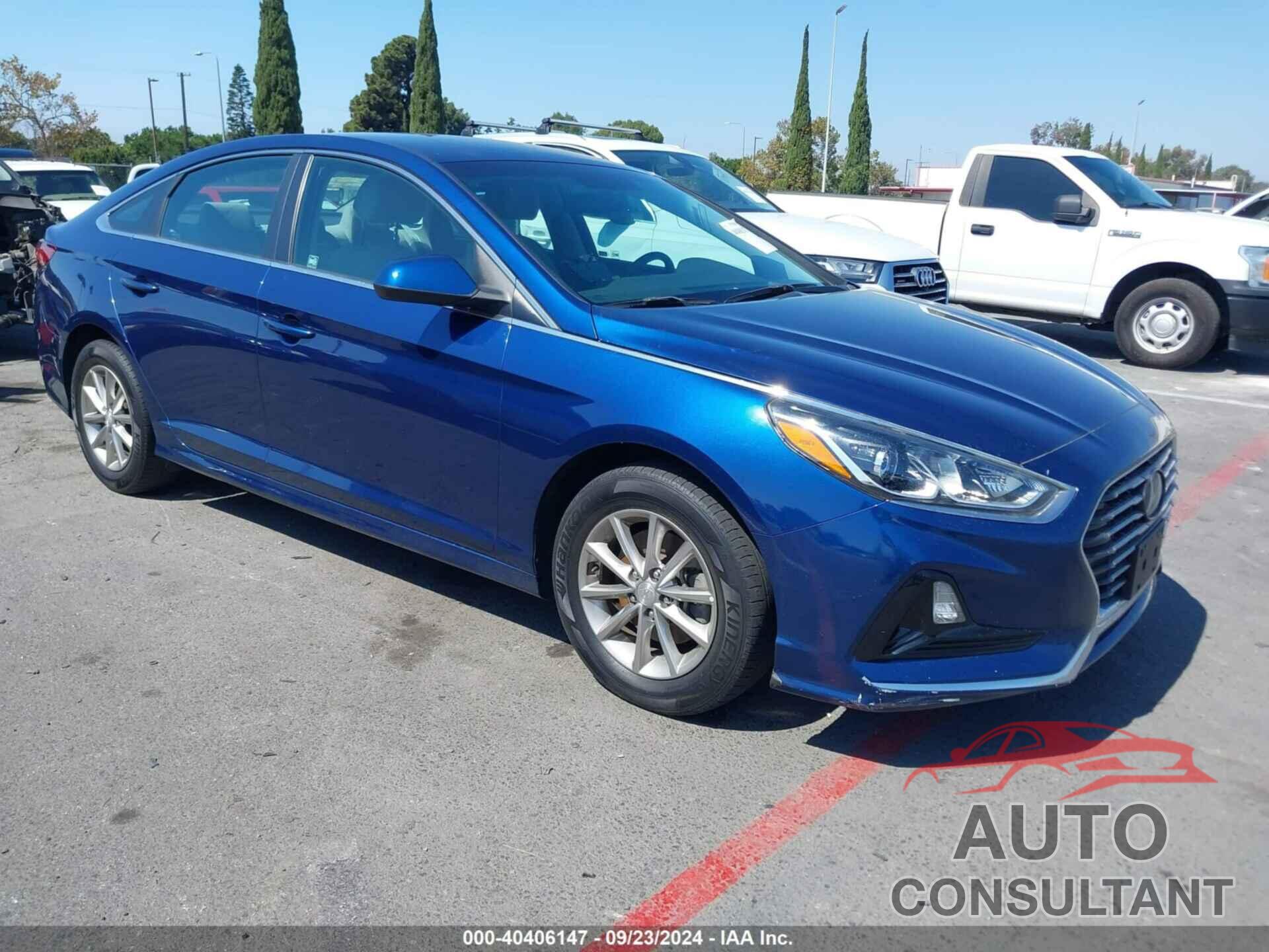 HYUNDAI SONATA 2019 - 5NPE24AF2KH753237