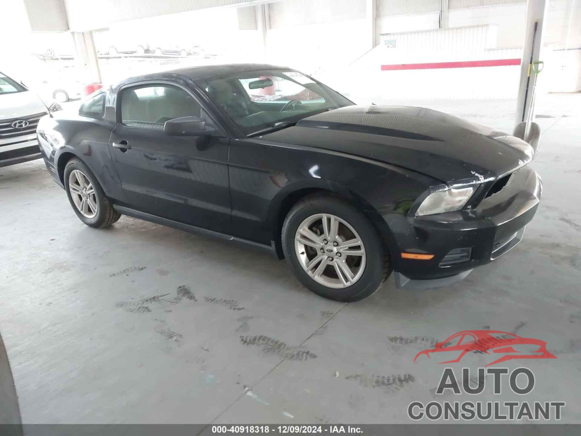 FORD MUSTANG 2012 - 1ZVBP8AM3C5239244