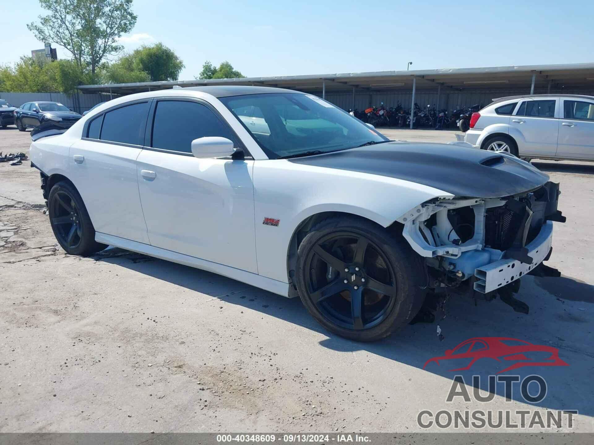 DODGE CHARGER 2019 - 2C3CDXGJXKH644875