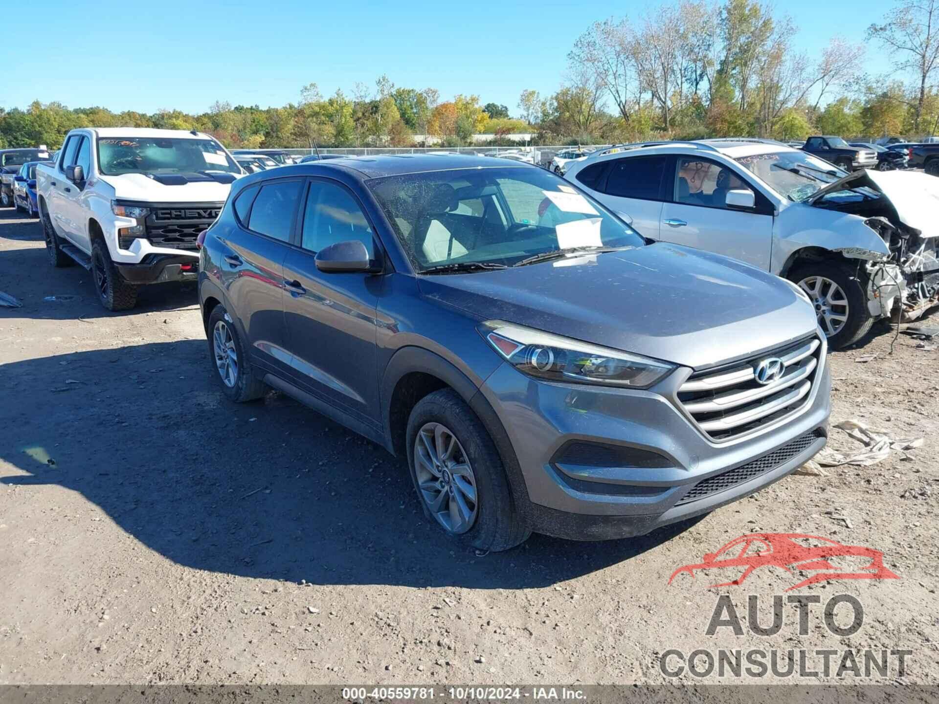 HYUNDAI TUCSON 2016 - KM8J23A42GU124352