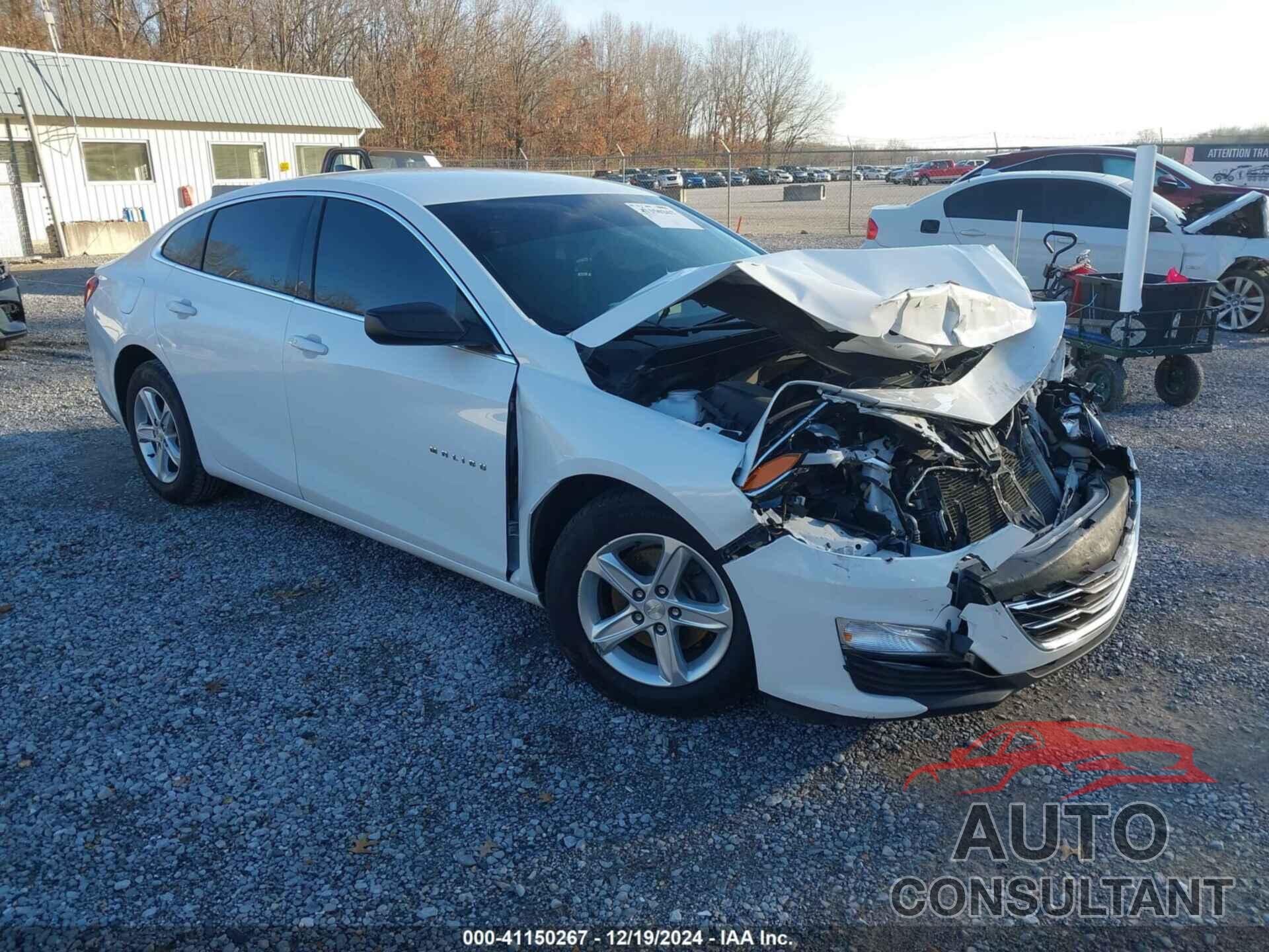 CHEVROLET MALIBU 2019 - 1G1ZC5ST6KF169290