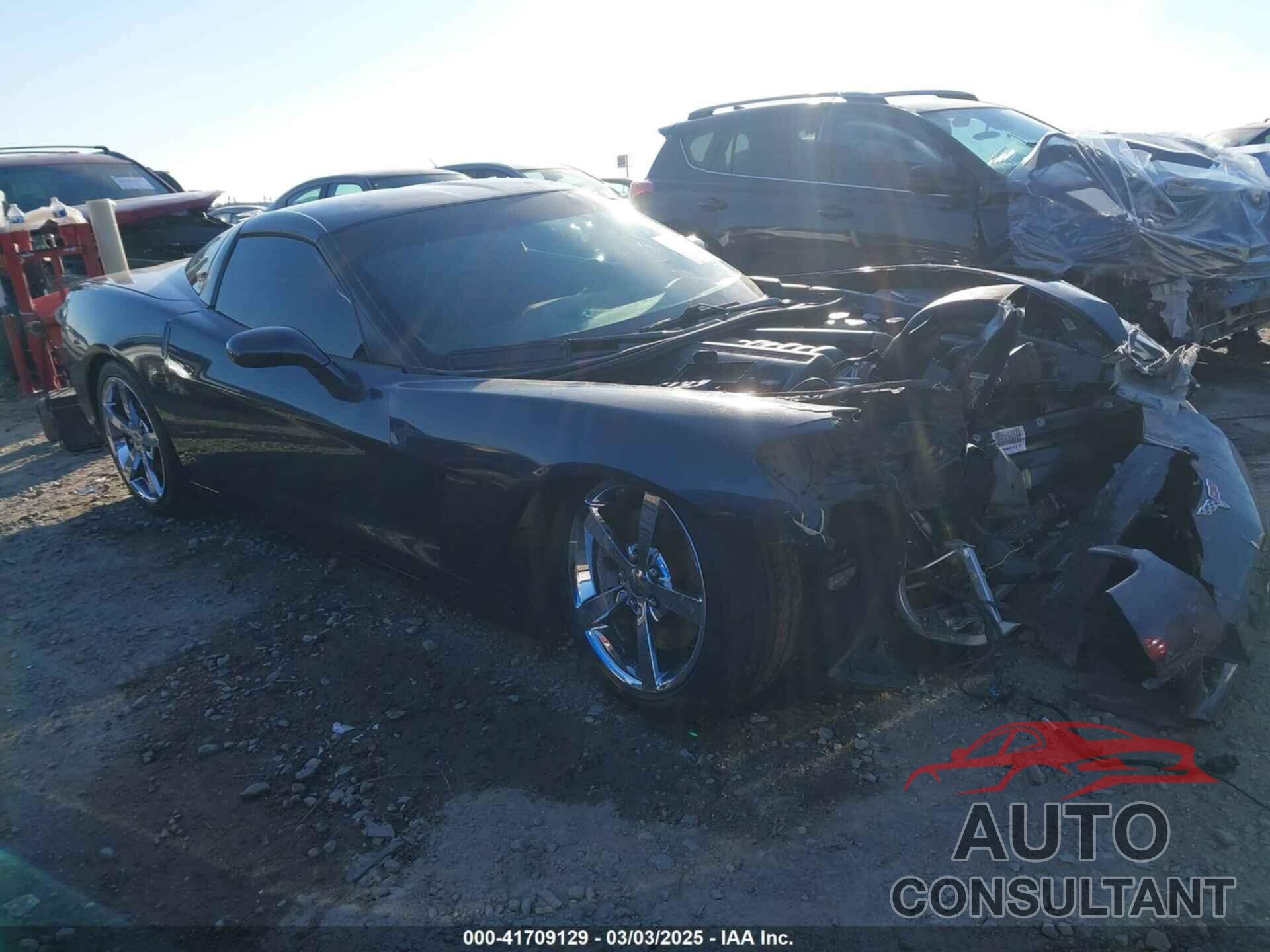 CHEVROLET CORVETTE 2009 - 1G1YY26WX95100649