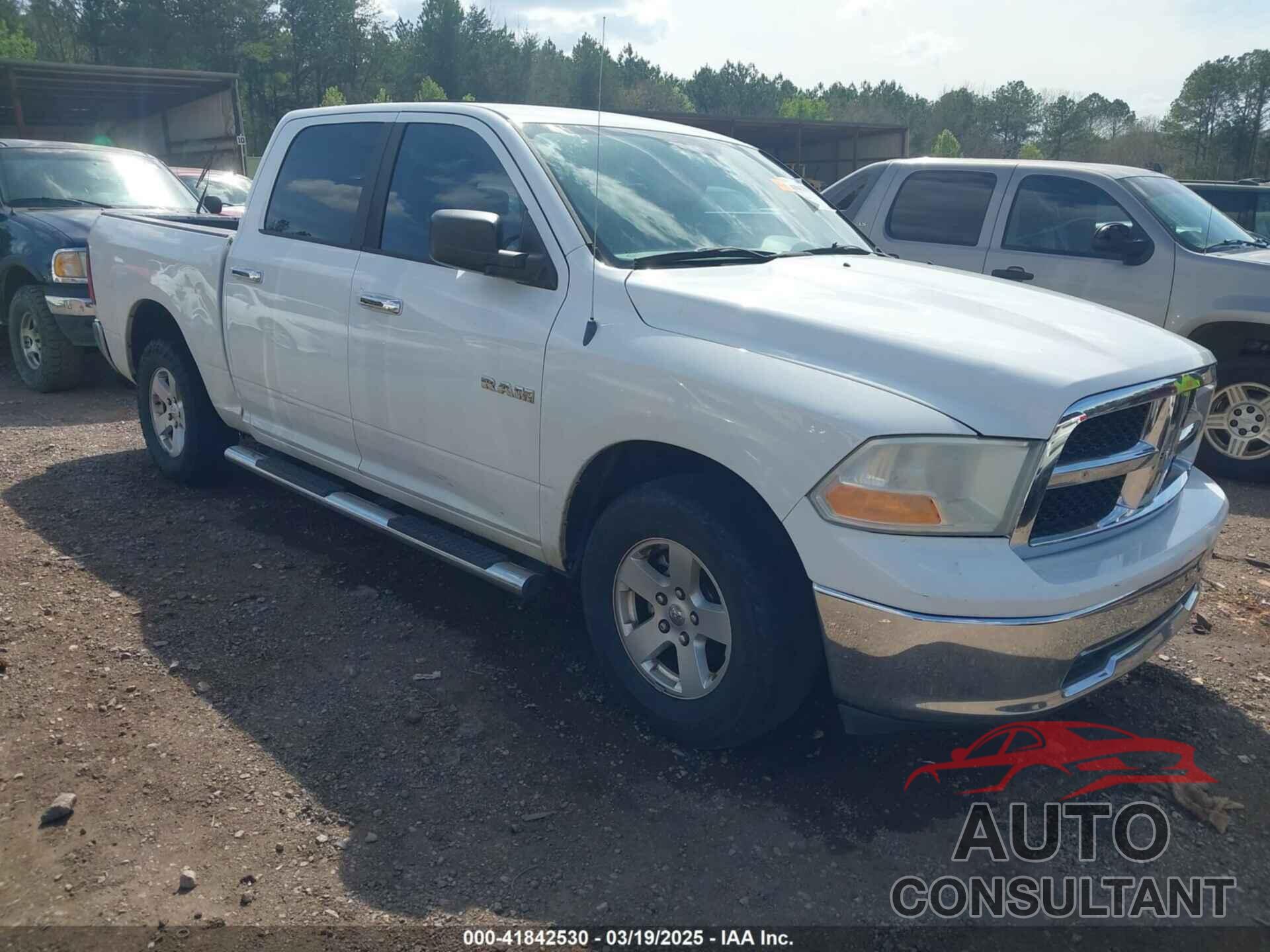 DODGE RAM 1500 2010 - 1D7RB1CP7AS155995