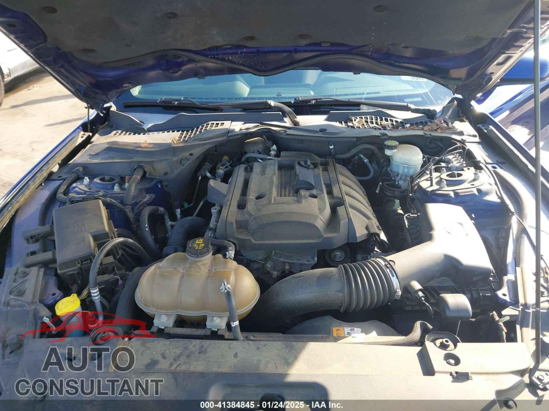 FORD MUSTANG 2015 - 1FA6P8TH4F5335091