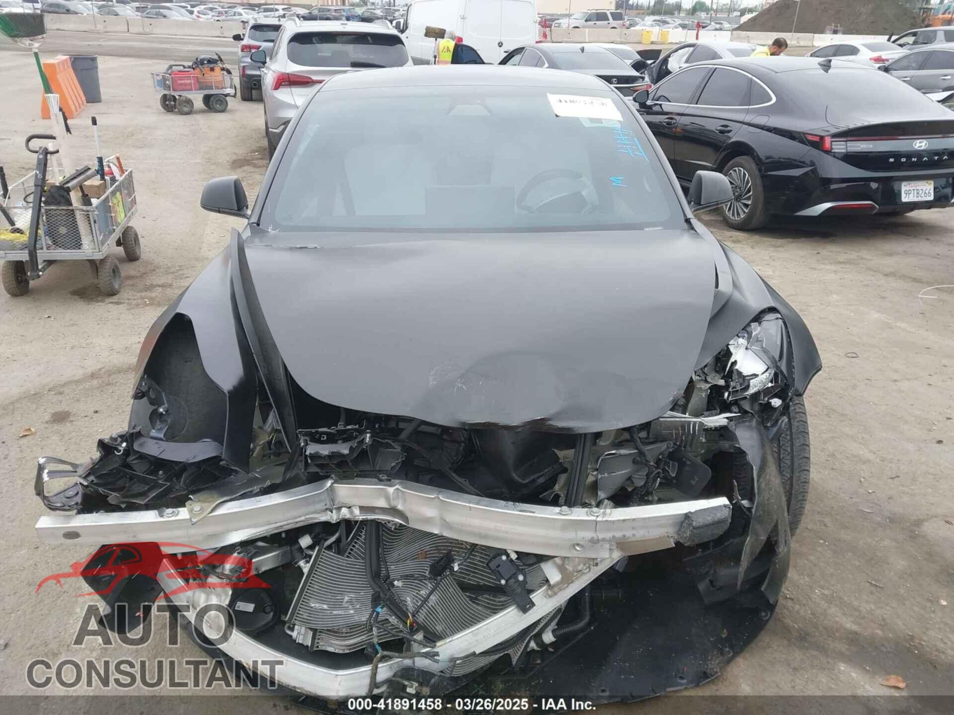 TESLA MODEL 3 2019 - 5YJ3E1EA8KF538083