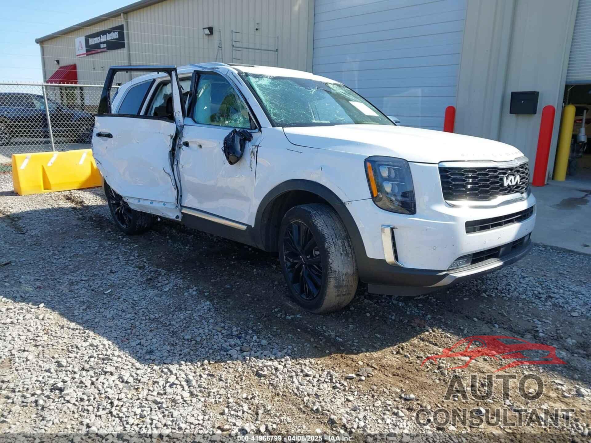 KIA TELLURIDE 2022 - 5XYP54HC1NG290854