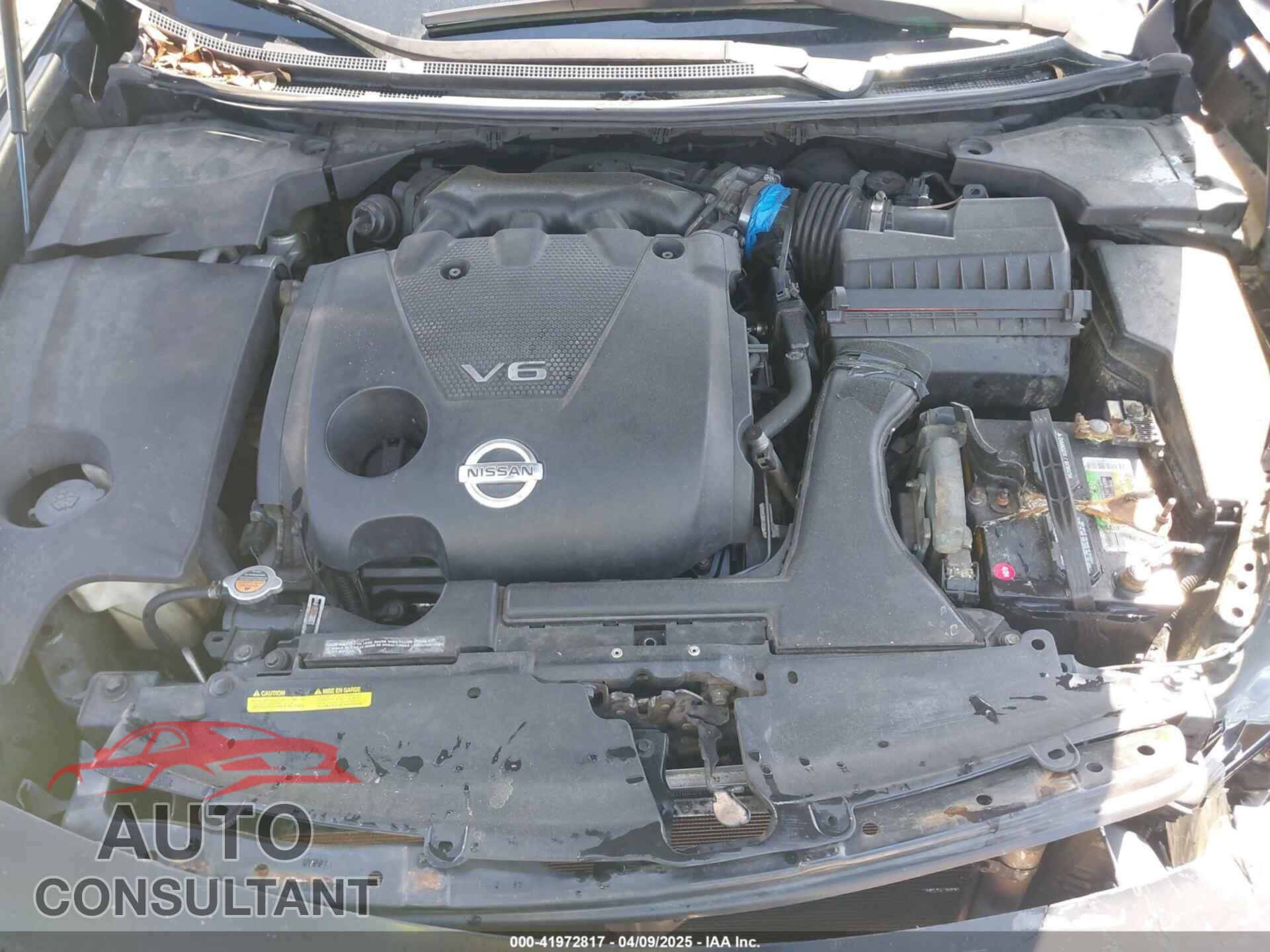 NISSAN MAXIMA 2009 - 1N4AA51E79C859905