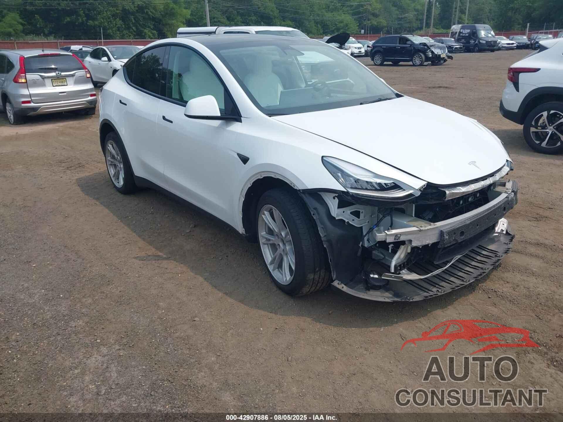 TESLA MODEL Y 2023 - 7SAYGDEEXPF617236