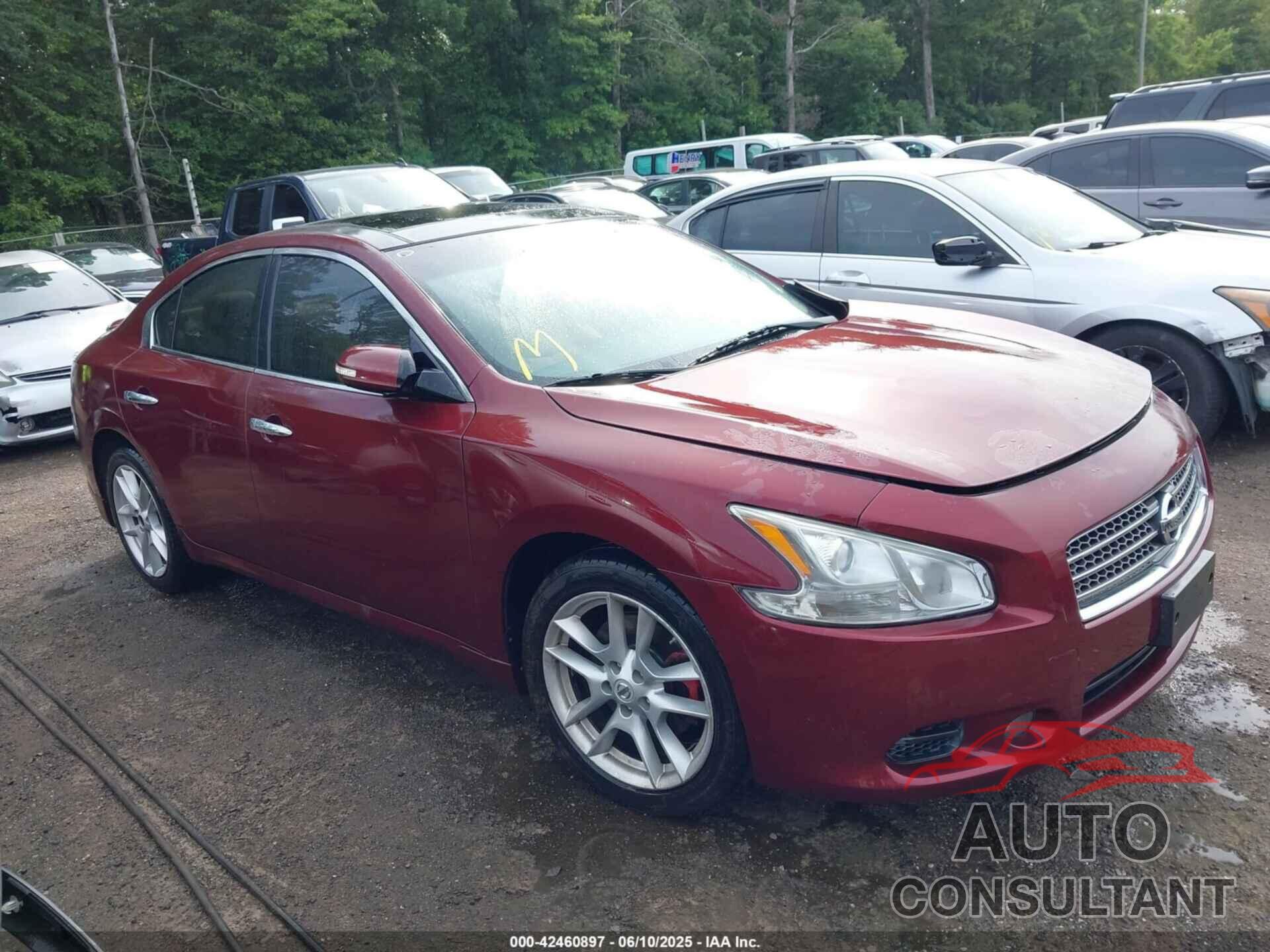 NISSAN MAXIMA 2011 - 1N4AA5AP4BC803976