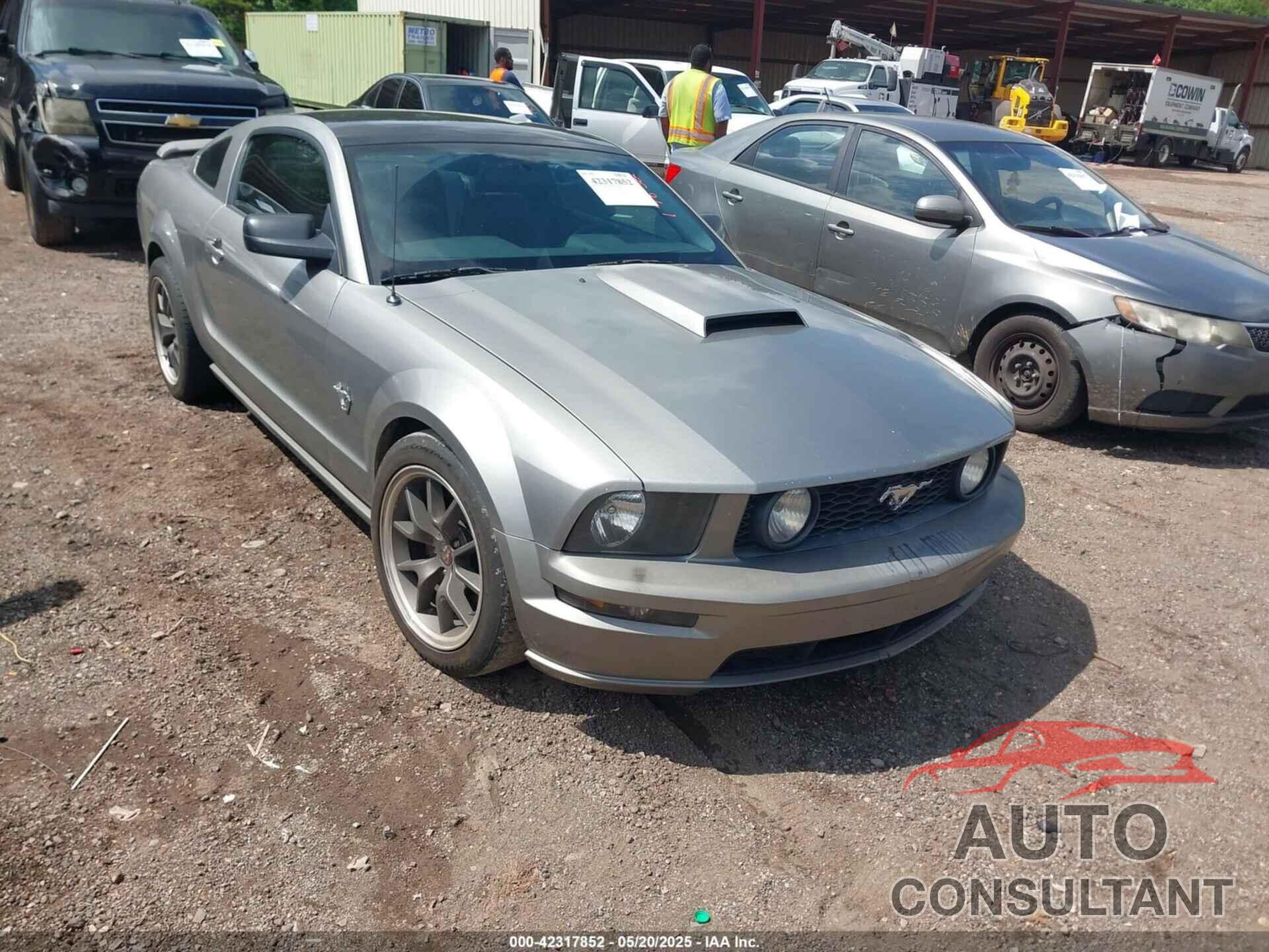 FORD MUSTANG 2009 - 1ZVHT82HX95128349