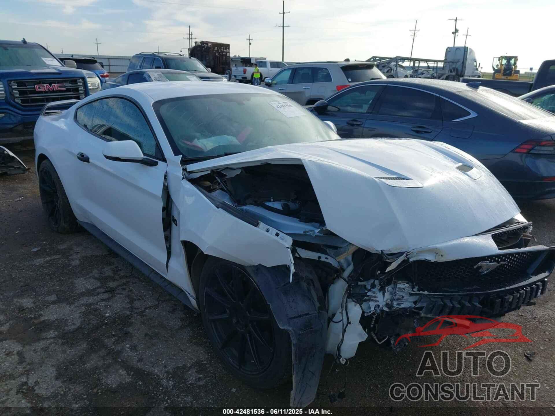 FORD MUSTANG 2019 - 1FA6P8CF4K5185637