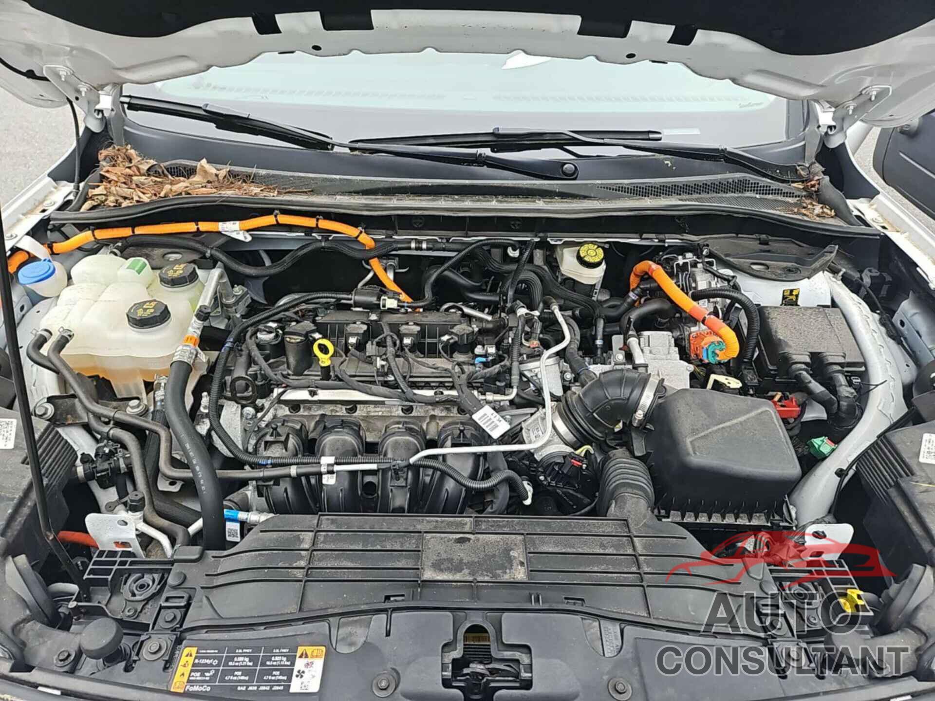 FORD ESCAPE 2022 - 1FMCU9CZ3NUA96721
