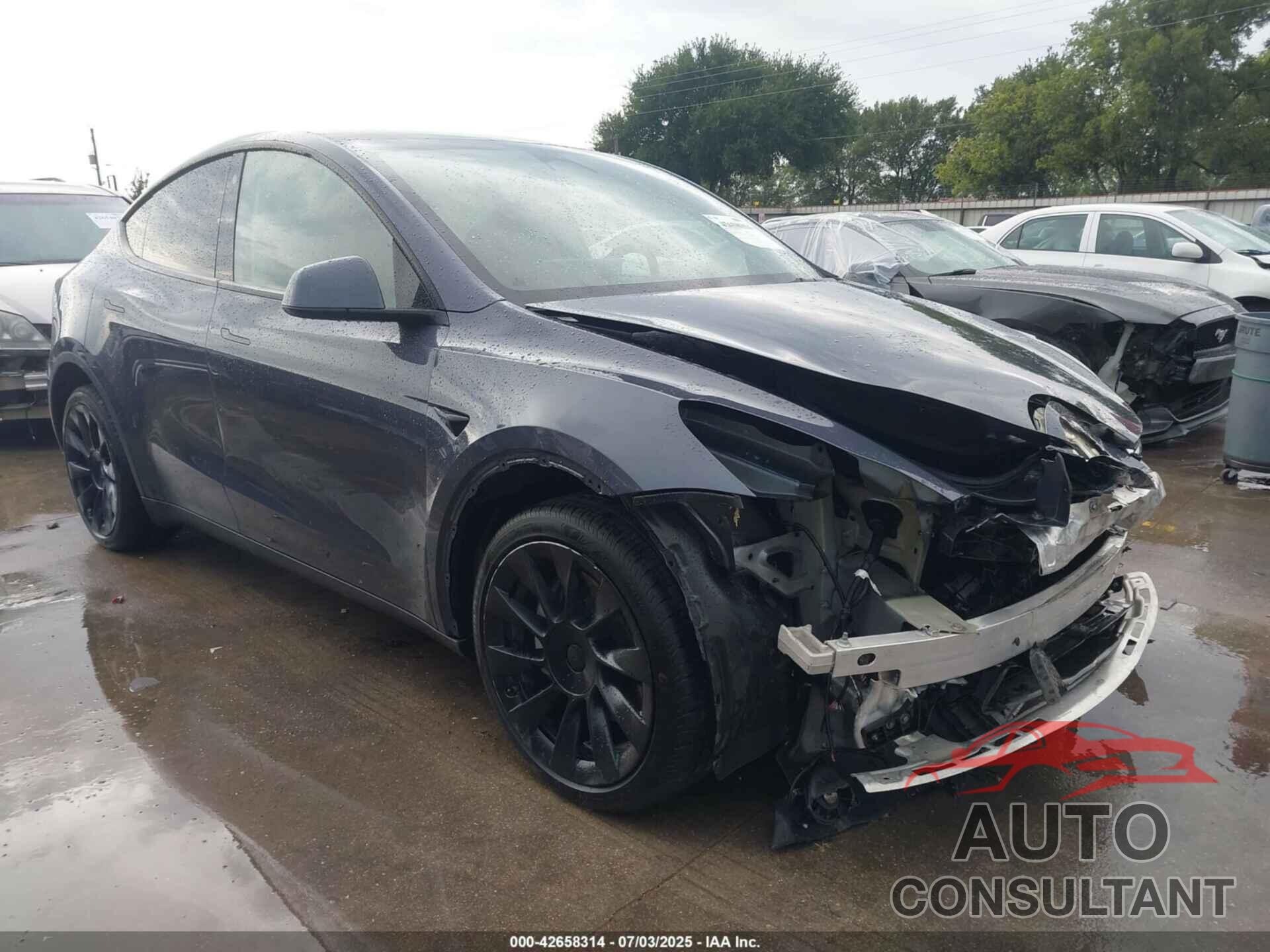 TESLA MODEL Y 2022 - 7SAYGDEE1NF480815