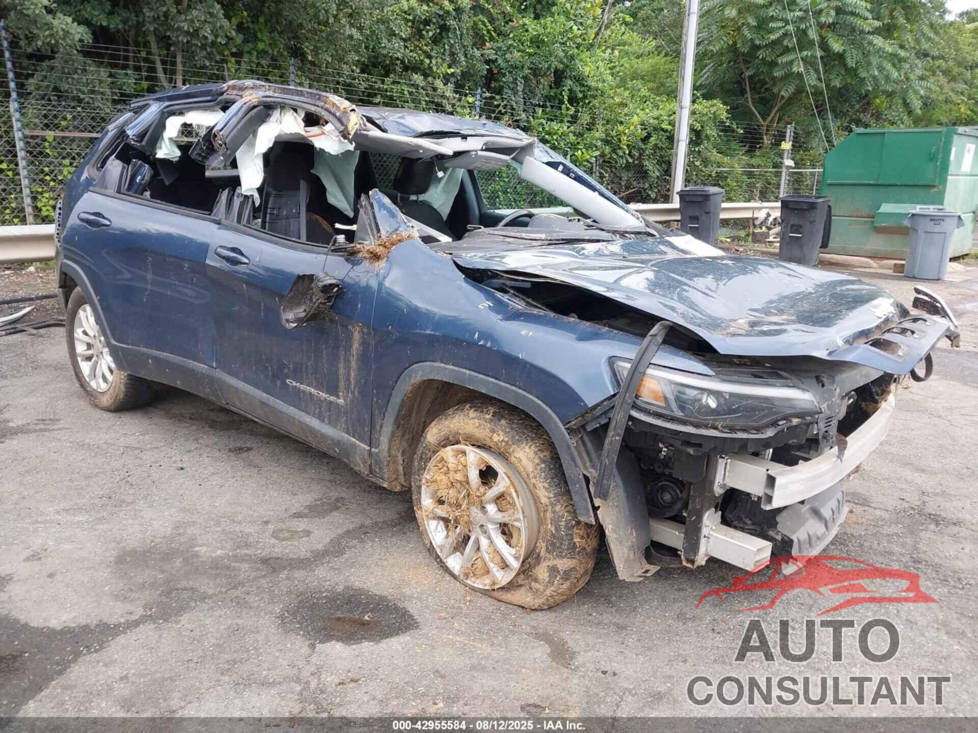 JEEP CHEROKEE 2020 - 1C4PJMCBXLD502222