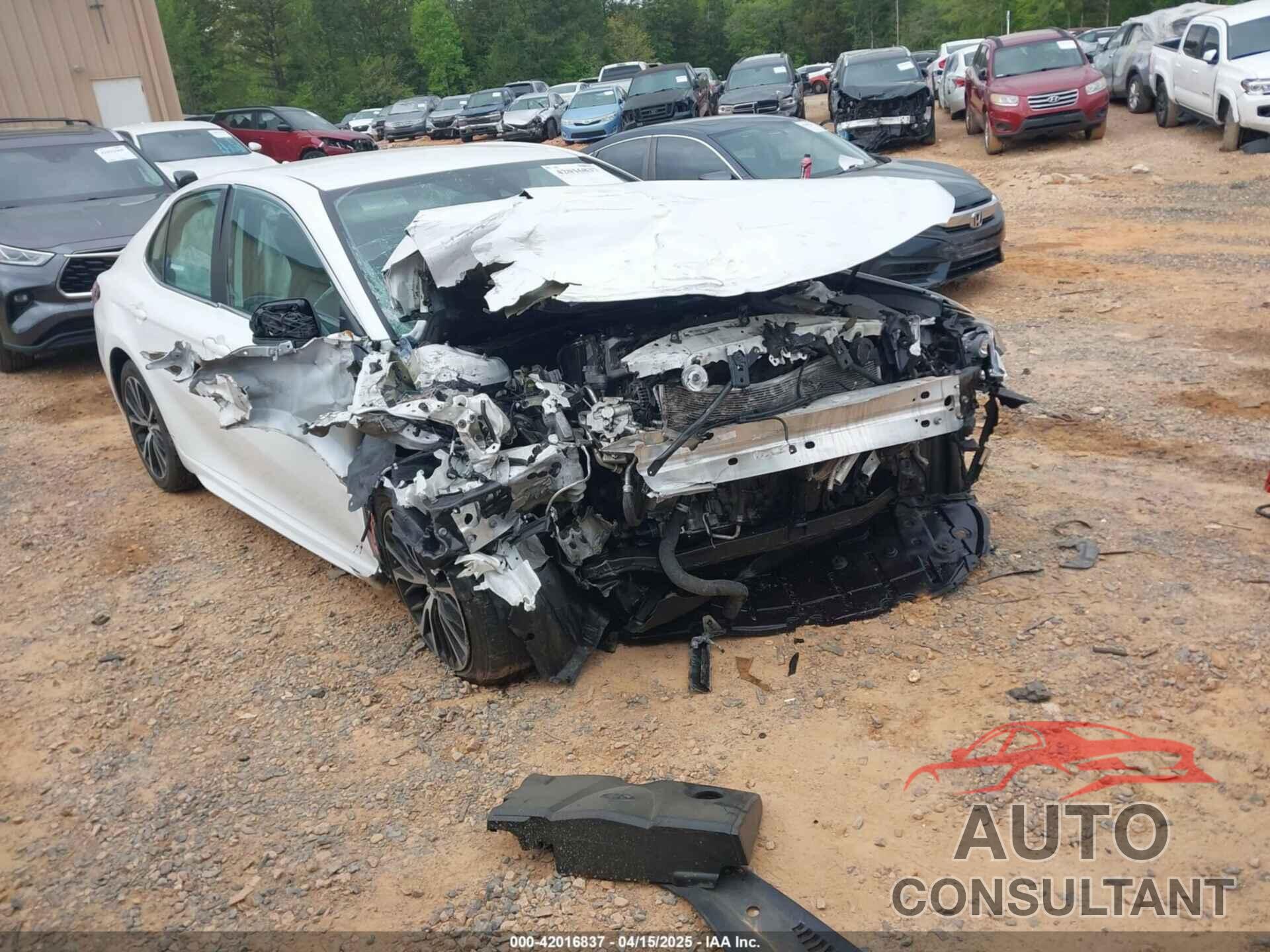 TOYOTA CAMRY 2019 - 4T1B11HK3KU281333