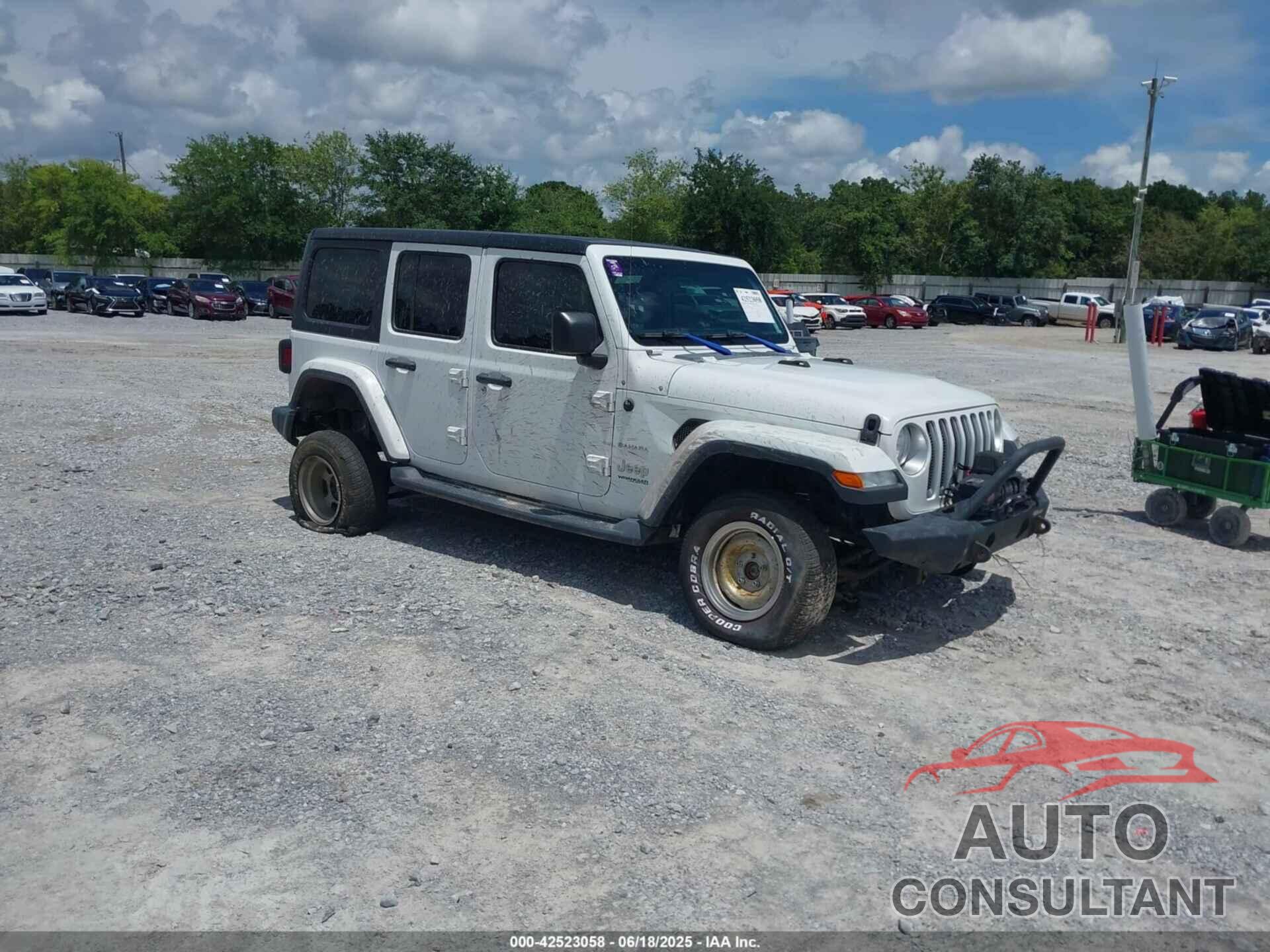 JEEP WRANGLER UNLIMITED 2018 - 1C4HJXEG1JW233043