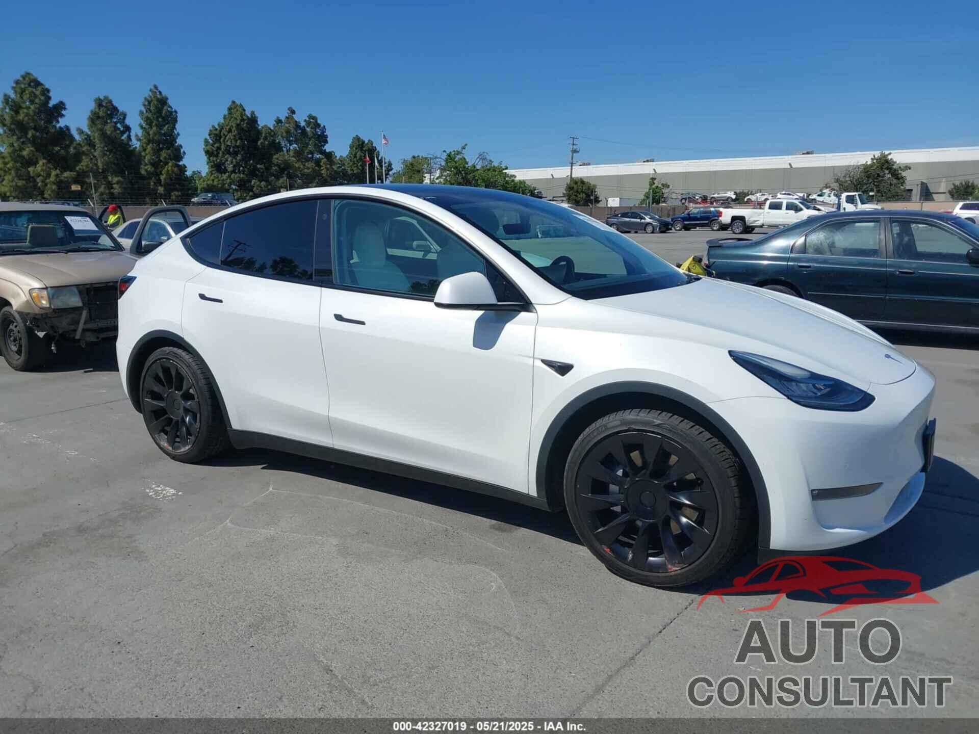 TESLA MODEL Y 2021 - 5YJYGDEE5MF276952