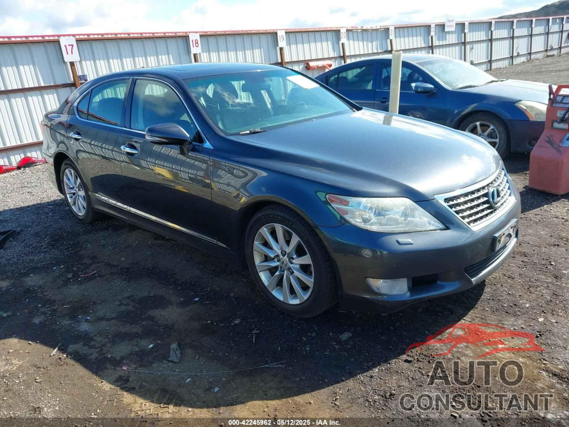 LEXUS LS 460 2011 - JTHCL5EFXB5012093