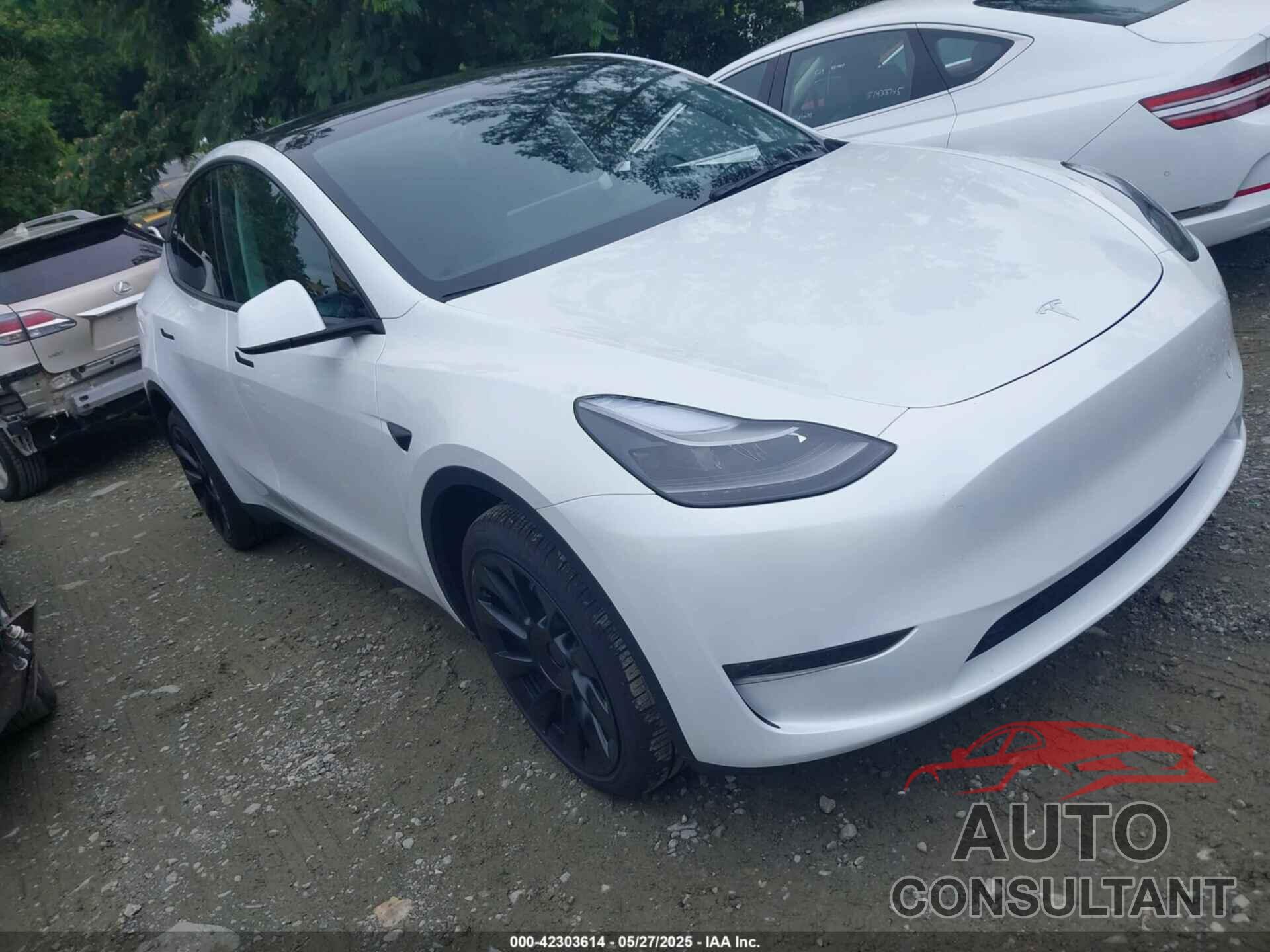 TESLA MODEL Y 2024 - 7SAYGDEE7RA231373