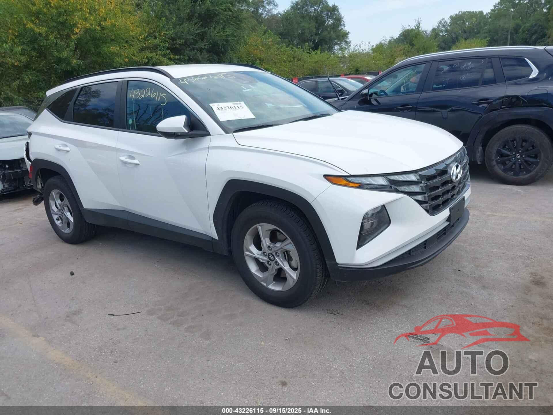 HYUNDAI TUCSON 2024 - 5NMJBCDEXRH323586
